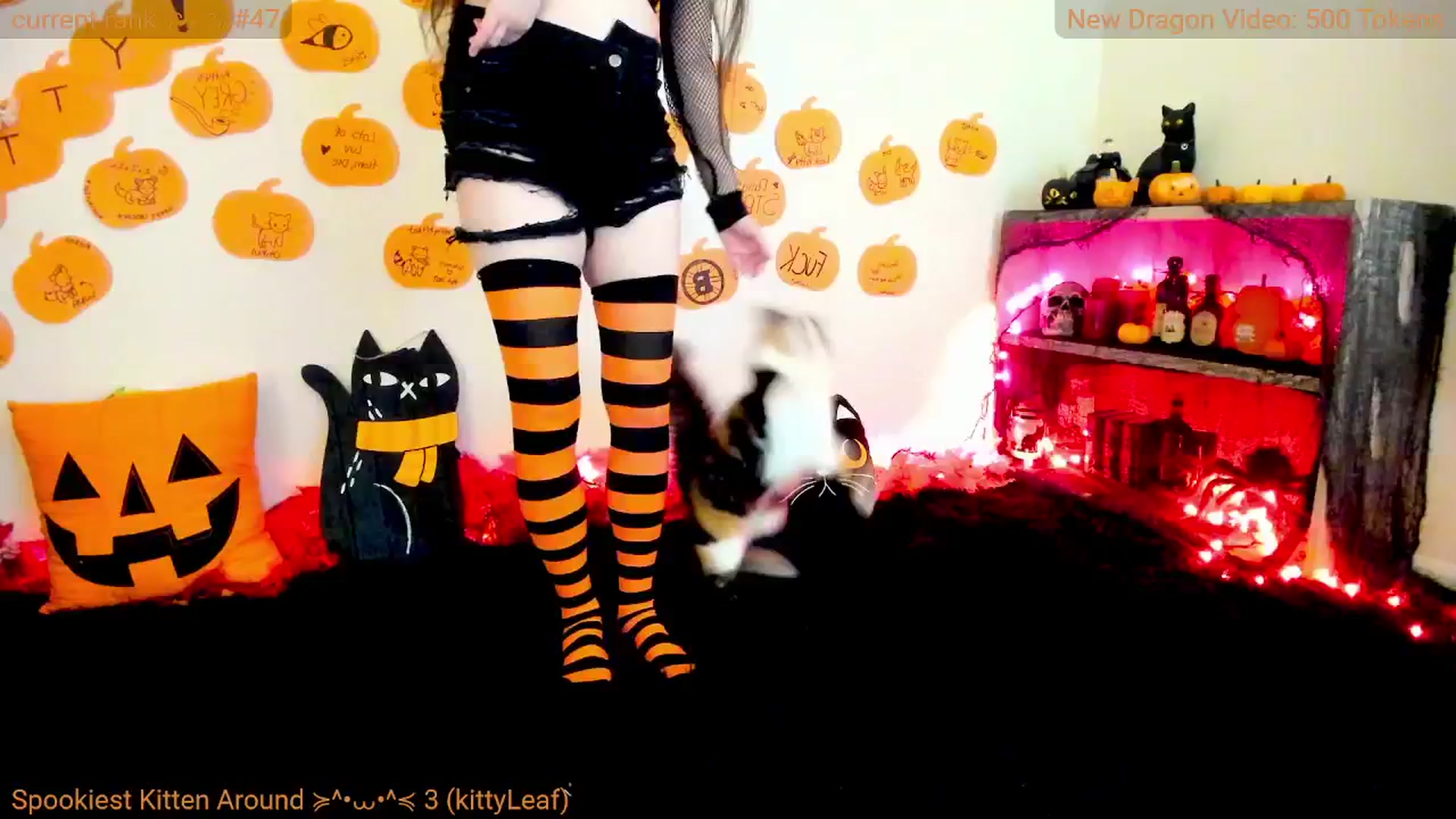 Gallery image thumbnail from Kitty's myfreecams stream on, 10/27/2024, 07:06 image 3 of 20