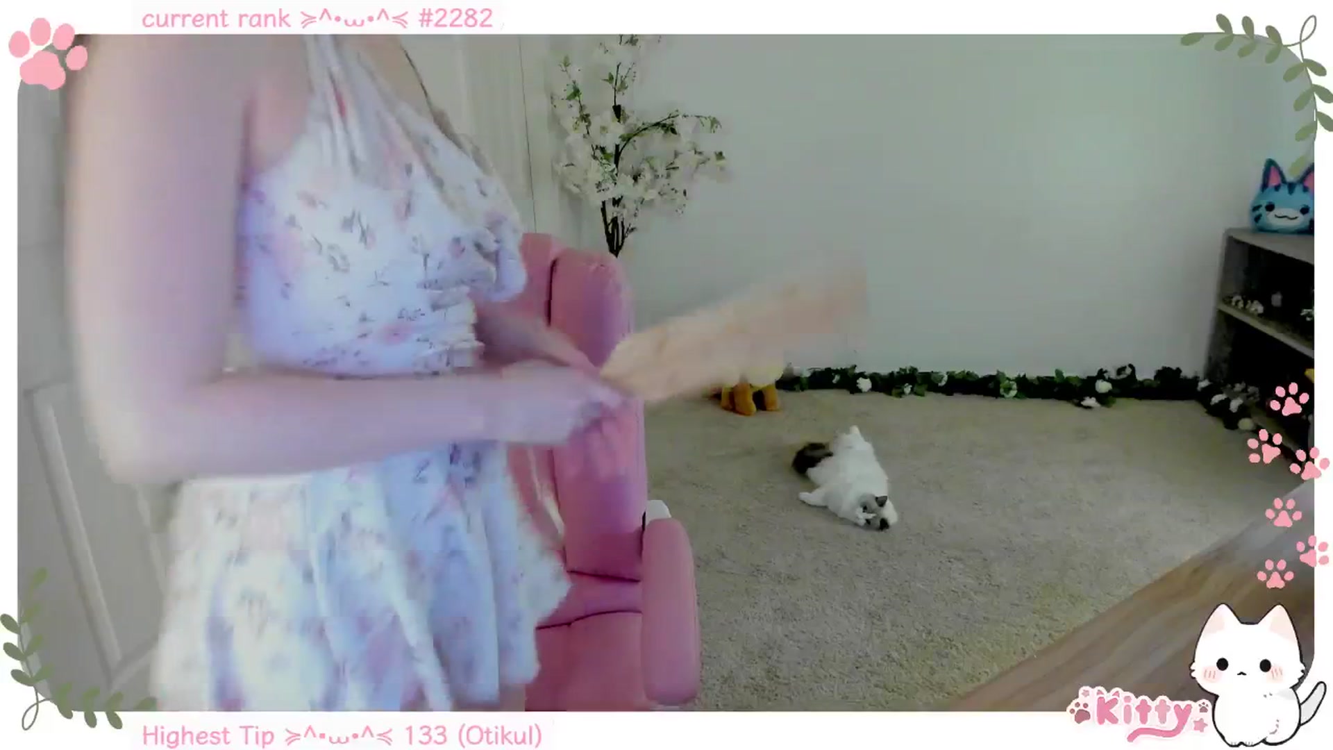Gallery image thumbnail from Kitty's myfreecams stream on, 12/03/2024, 05:58 image 3 of 20