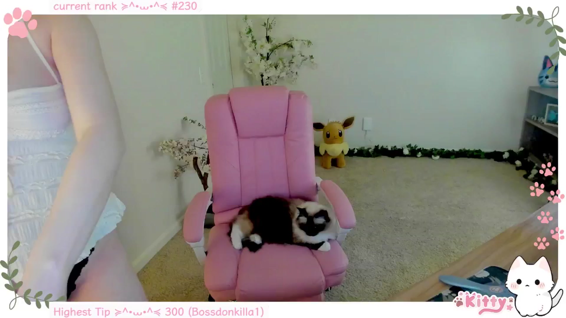 Gallery image thumbnail from Kitty's myfreecams stream on, 12/21/2024, 06:20 image 12 of 20