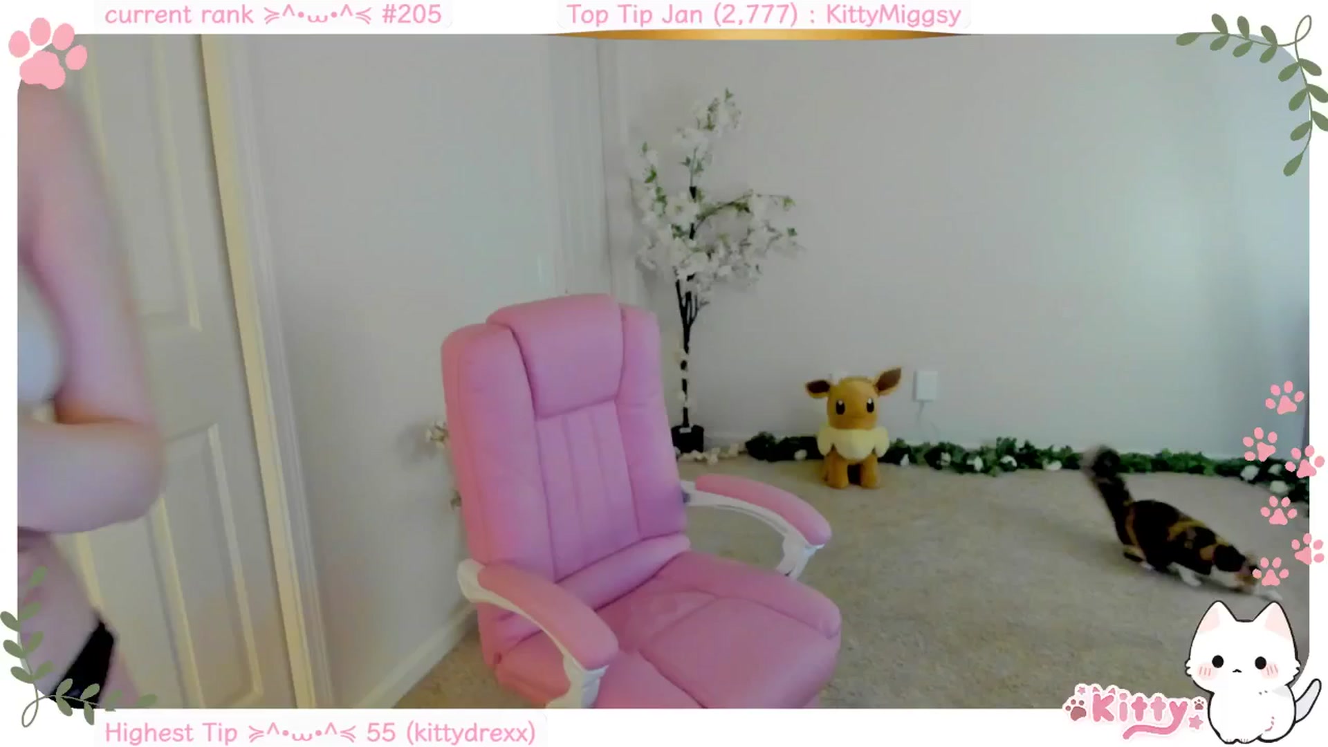 Gallery image thumbnail from Kitty's myfreecams stream on, 01/15/2025, 05:08 image 13 of 20