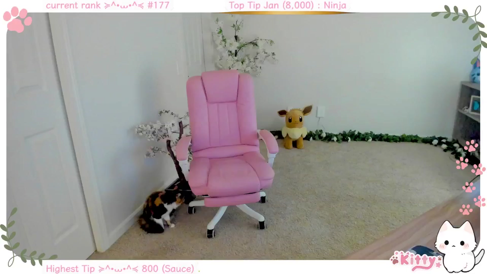 Gallery image thumbnail from Kitty's myfreecams stream on, 01/19/2025, 06:52 image 16 of 20