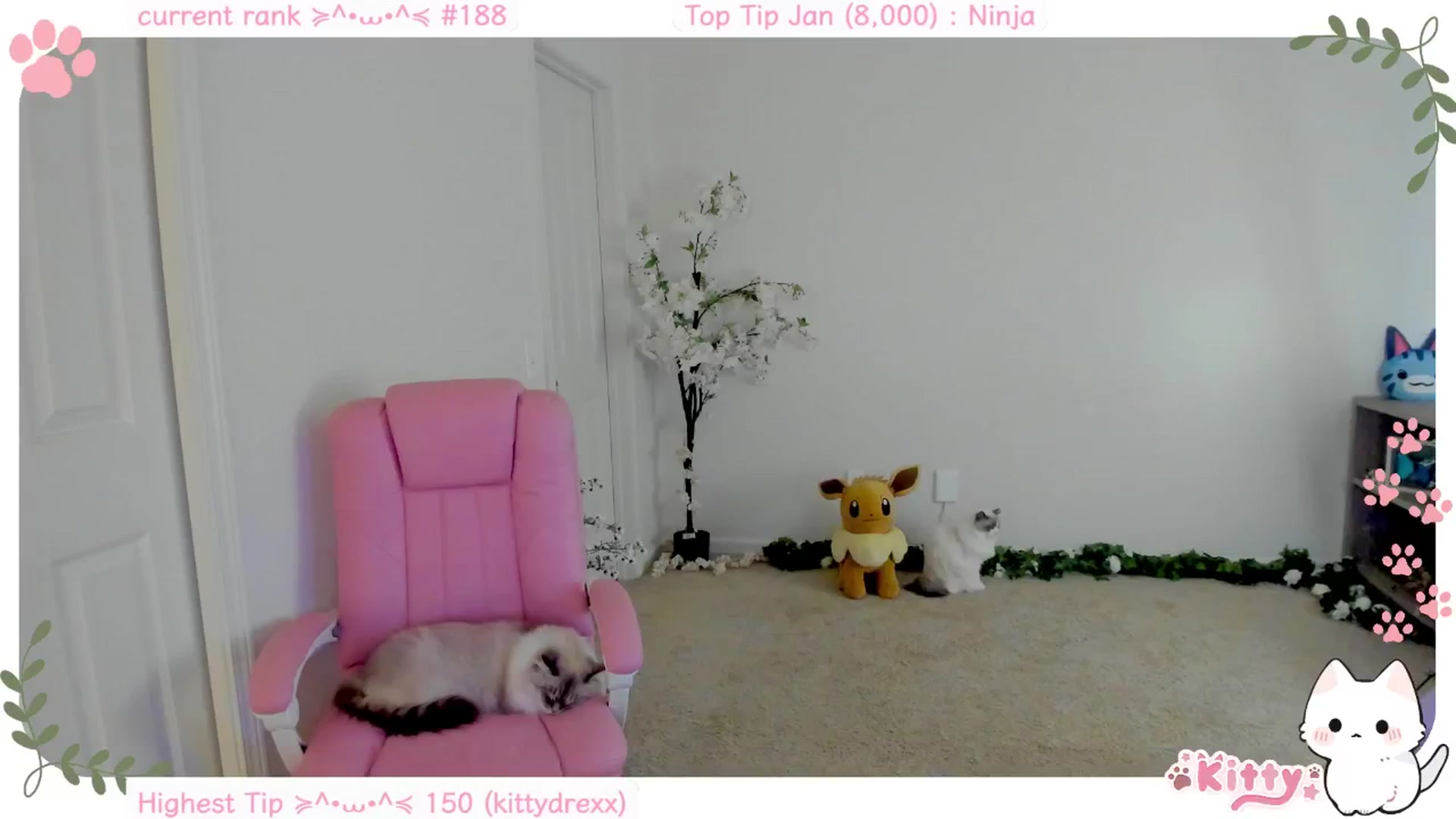 Gallery image thumbnail from Kitty's myfreecams stream on, 01/21/2025, 07:17 image 5 of 20