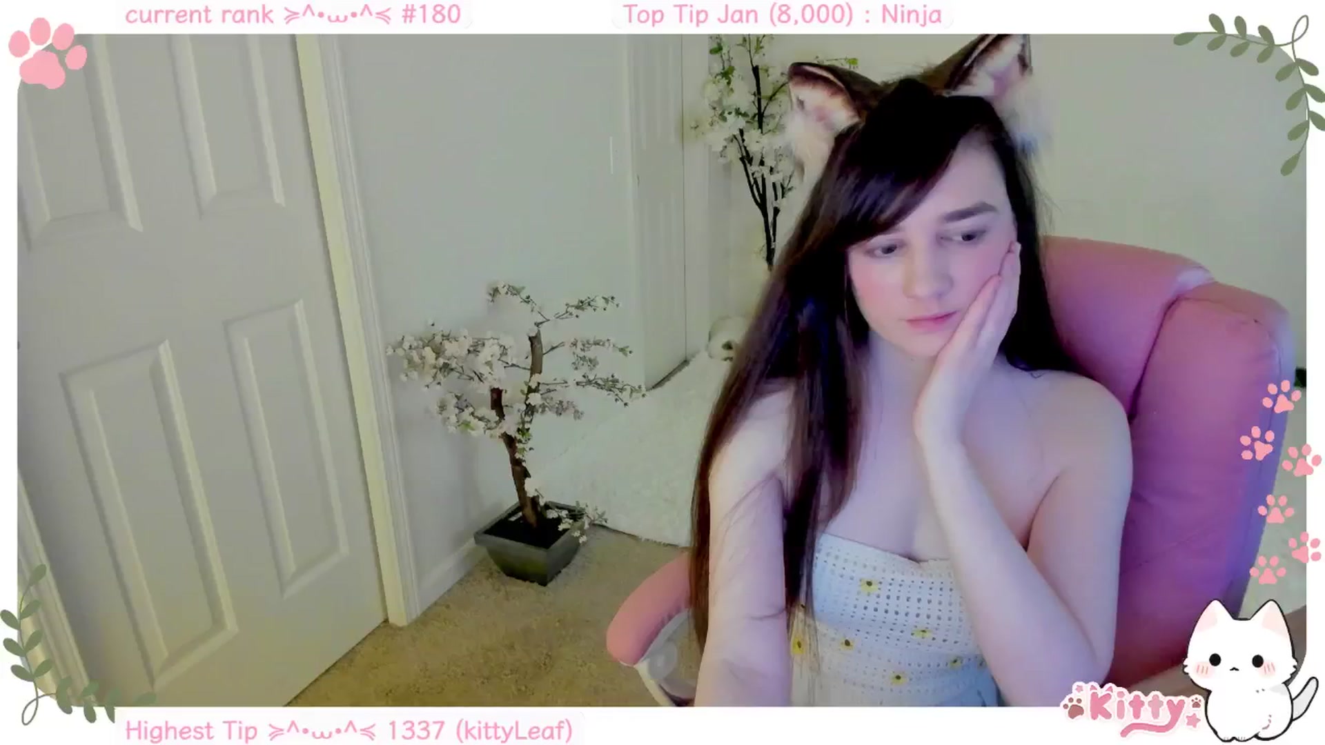 Gallery image thumbnail from Kitty's myfreecams stream on, 01/23/2025, 06:06 image 10 of 20