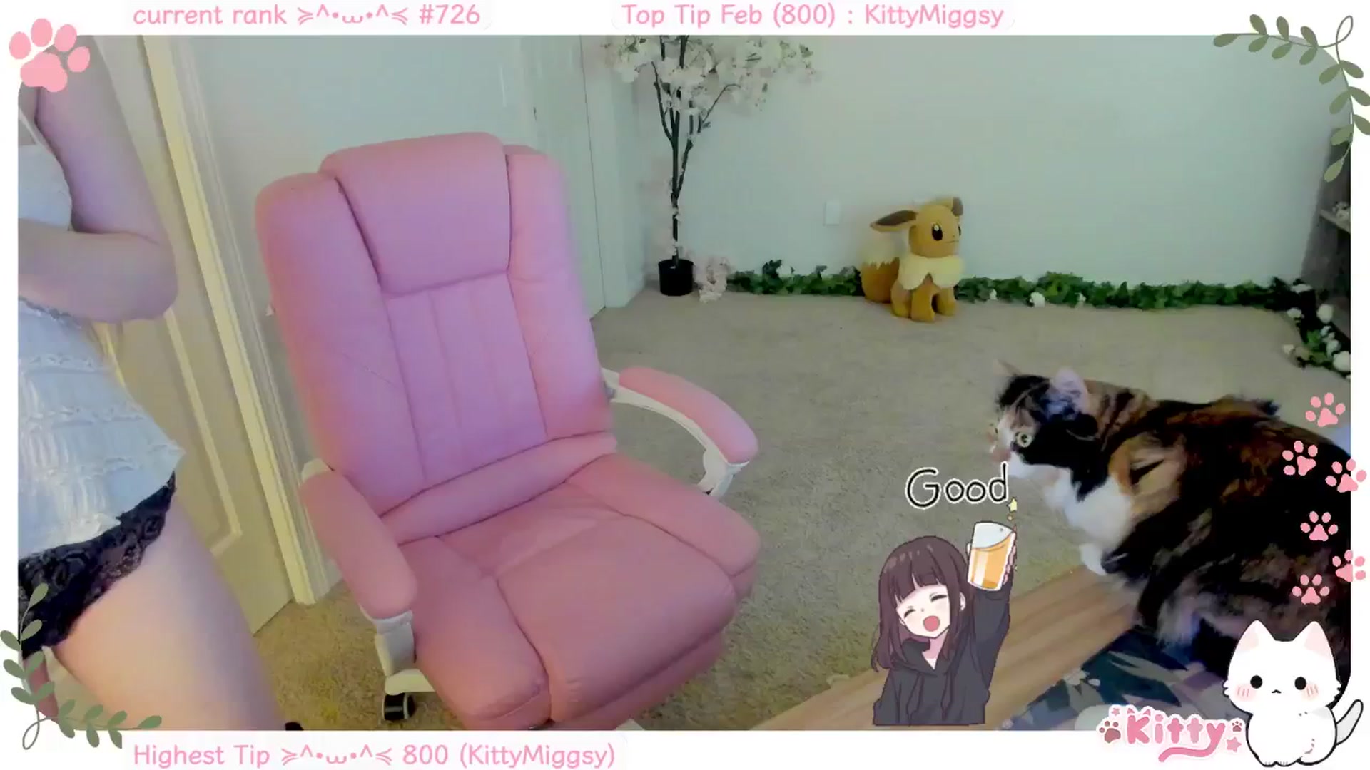 Gallery image thumbnail from Kitty's myfreecams stream on, 02/02/2025, 06:41 image 11 of 20