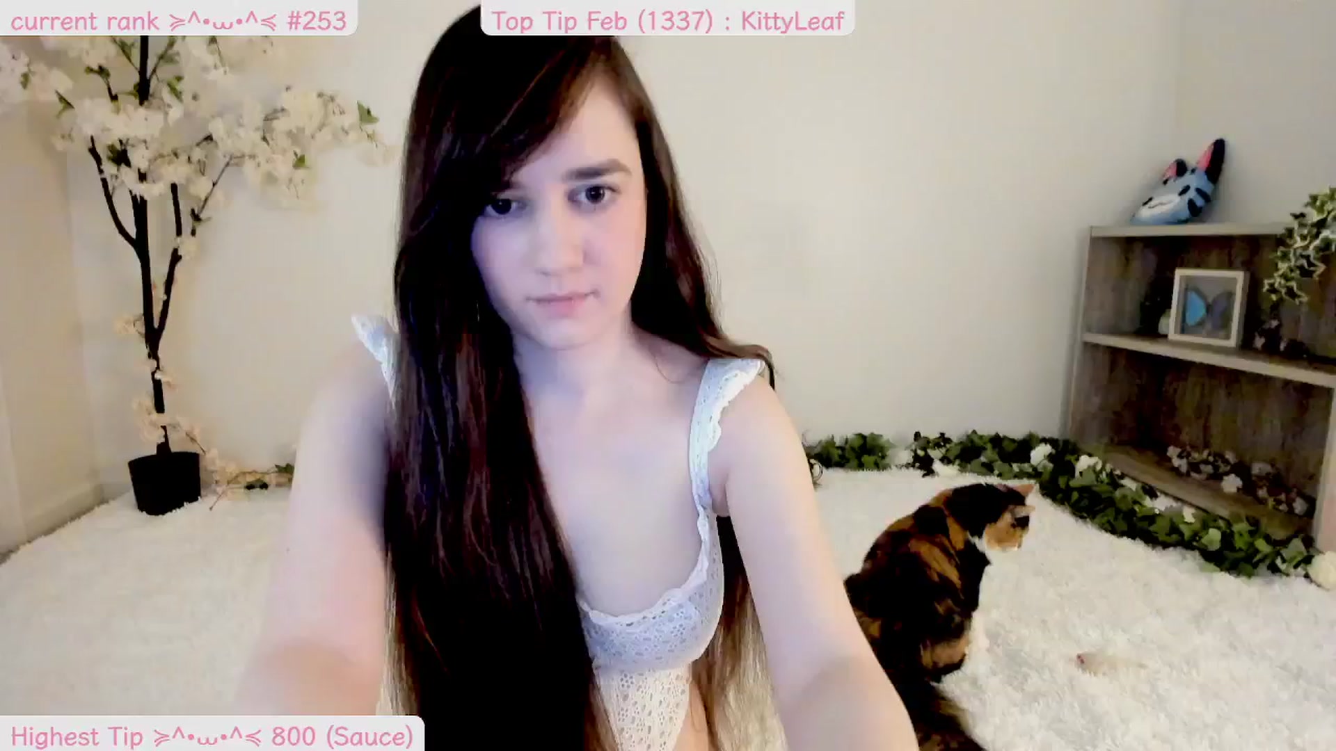 Gallery image thumbnail from Kitty's myfreecams stream on, 02/14/2025, 09:54 image 17 of 20