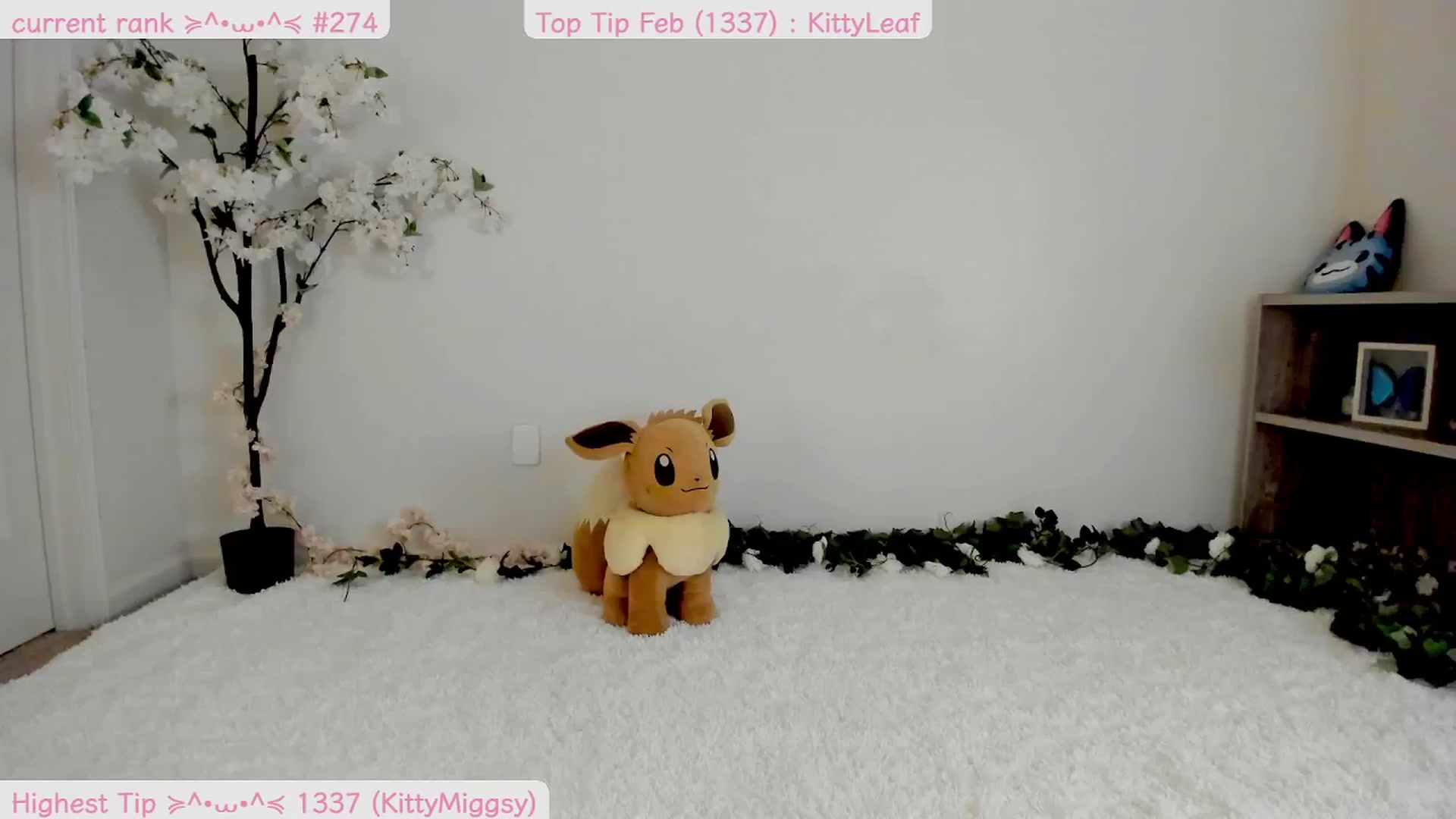 Gallery image thumbnail from Kitty's myfreecams stream on, 02/15/2025, 09:36 image 12 of 20