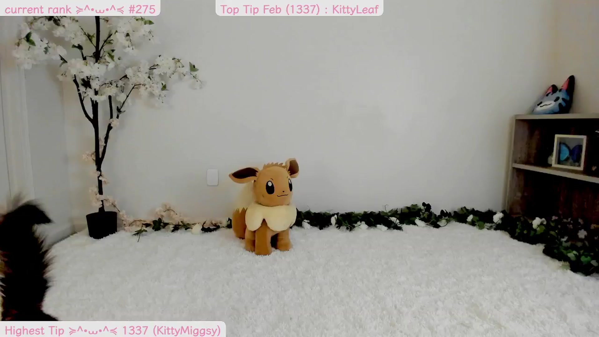 Gallery image thumbnail from Kitty's myfreecams stream on, 02/15/2025, 09:36 image 11 of 20