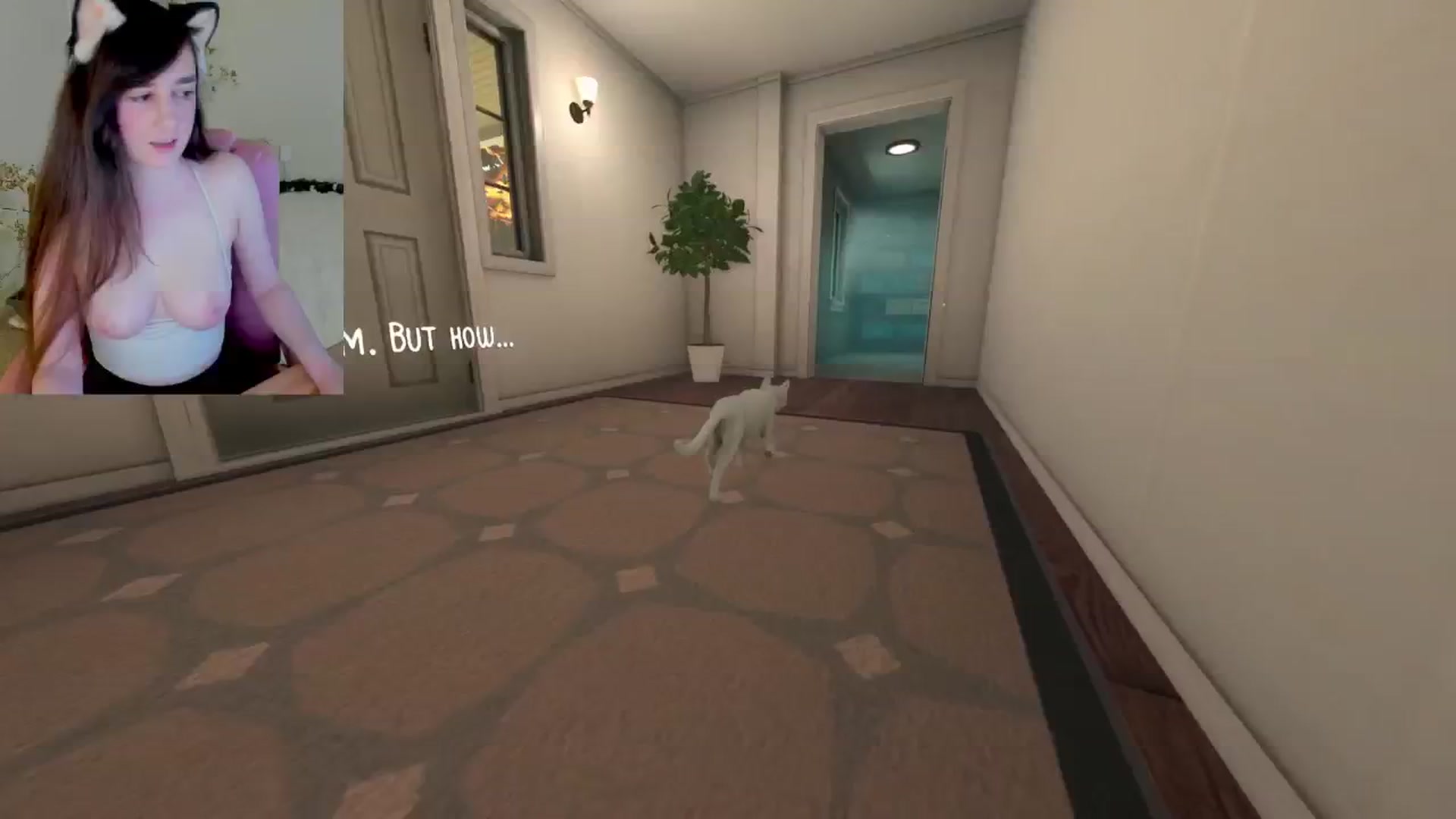 Gallery image thumbnail from Kitty's myfreecams stream on, 02/19/2025, 06:19 image 3 of 20