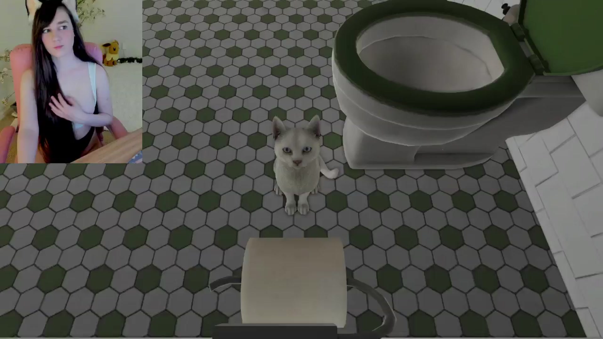 Gallery image thumbnail from Kitty's myfreecams stream on, 02/20/2025, 07:53 image 14 of 20