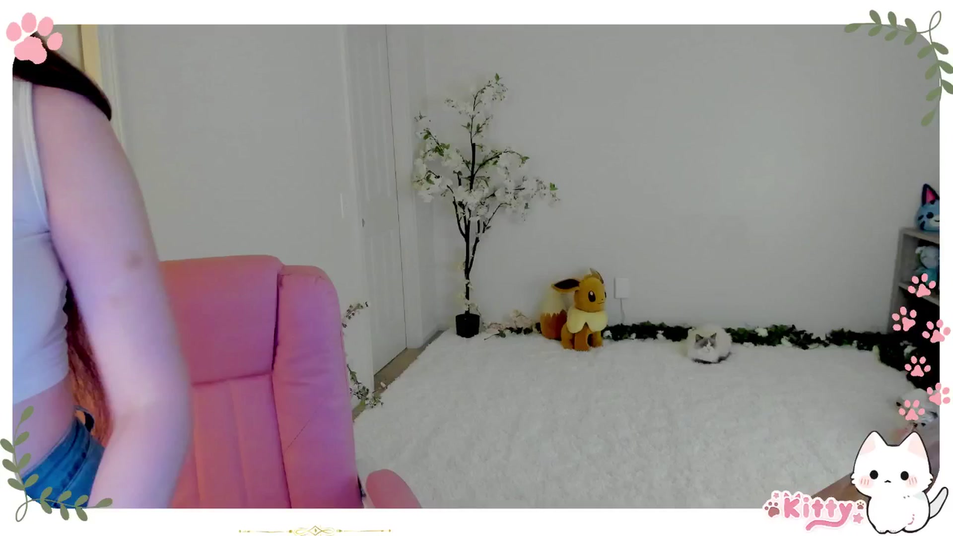 Gallery image thumbnail from Kitty's myfreecams stream on, 02/20/2025, 07:53 image 5 of 20