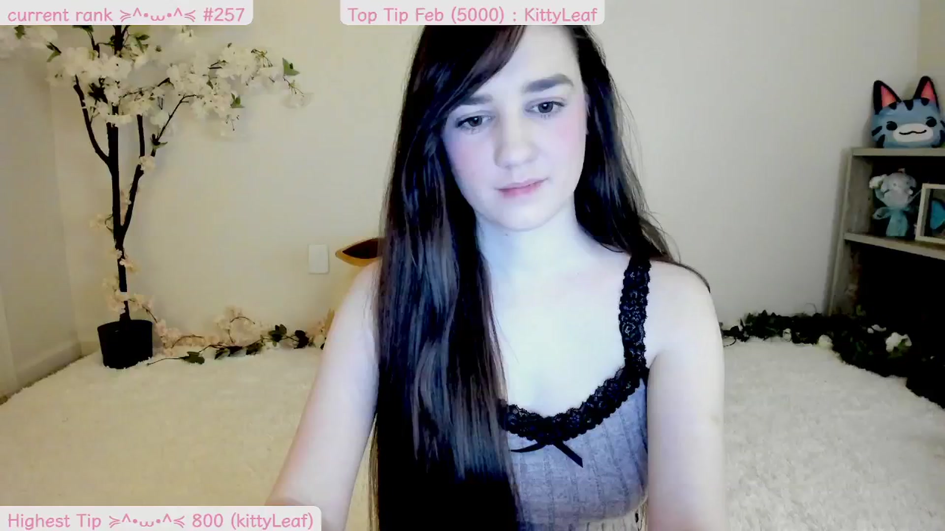 Gallery image thumbnail from Kitty's myfreecams stream on, 02/22/2025, 08:27 image 5 of 20