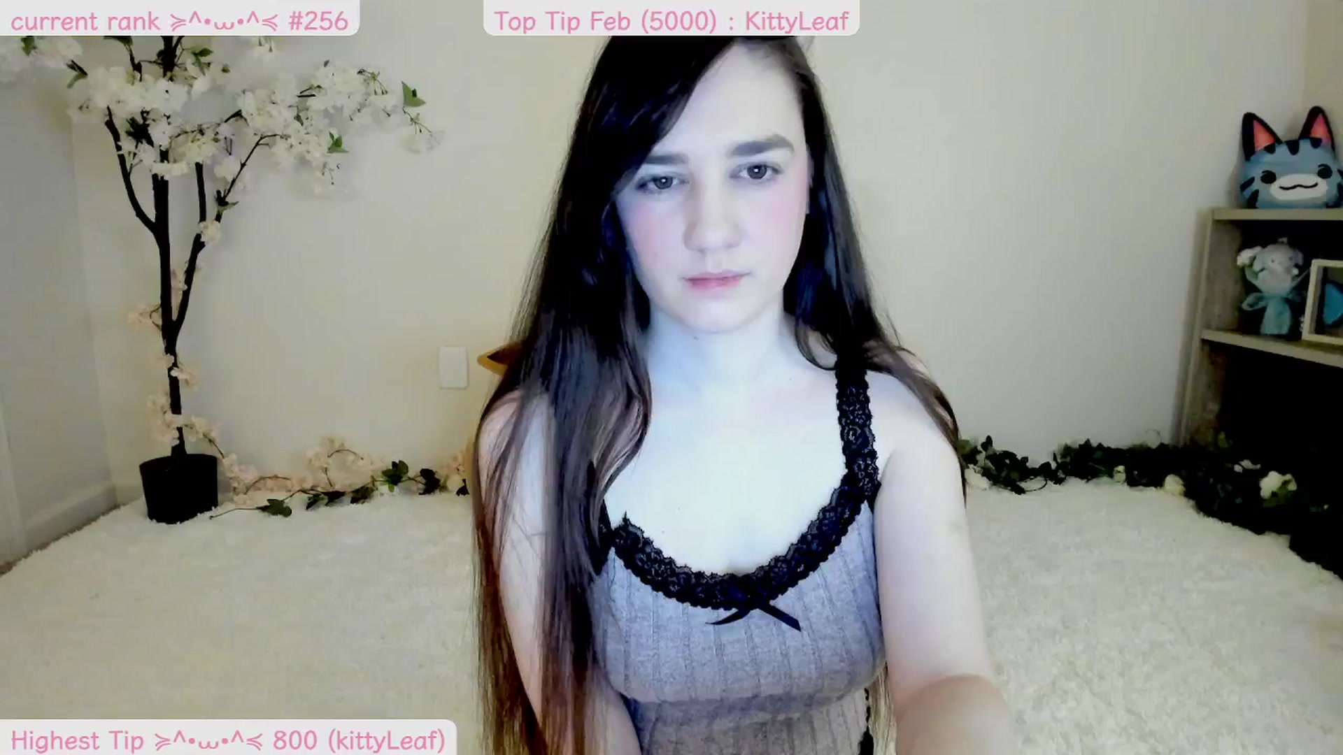 Gallery image thumbnail from Kitty's myfreecams stream on, 02/22/2025, 08:27 image 4 of 20