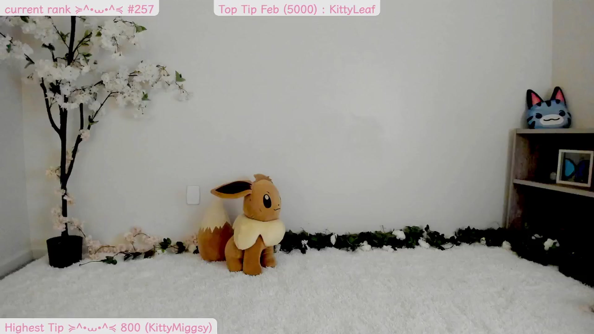 Gallery image thumbnail from Kitty's myfreecams stream on, 02/23/2025, 08:28 image 3 of 20