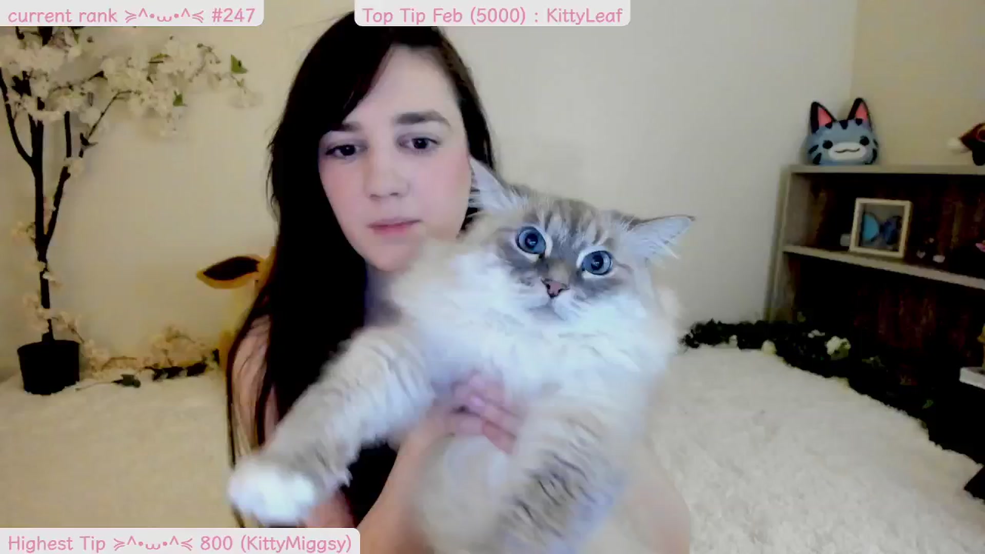 Gallery image thumbnail from Kitty's myfreecams stream on, 02/23/2025, 08:28 image 20 of 20