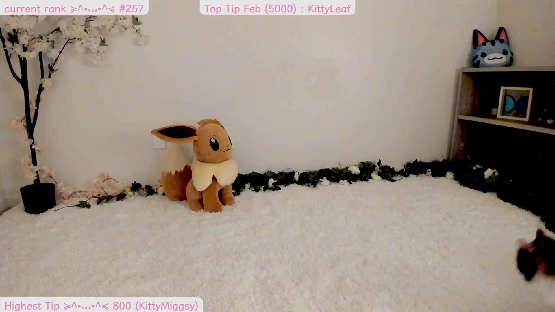 Gallery image thumbnail from Kitty's myfreecams stream on, 02/24/2025, 06:55 image 2 of 20