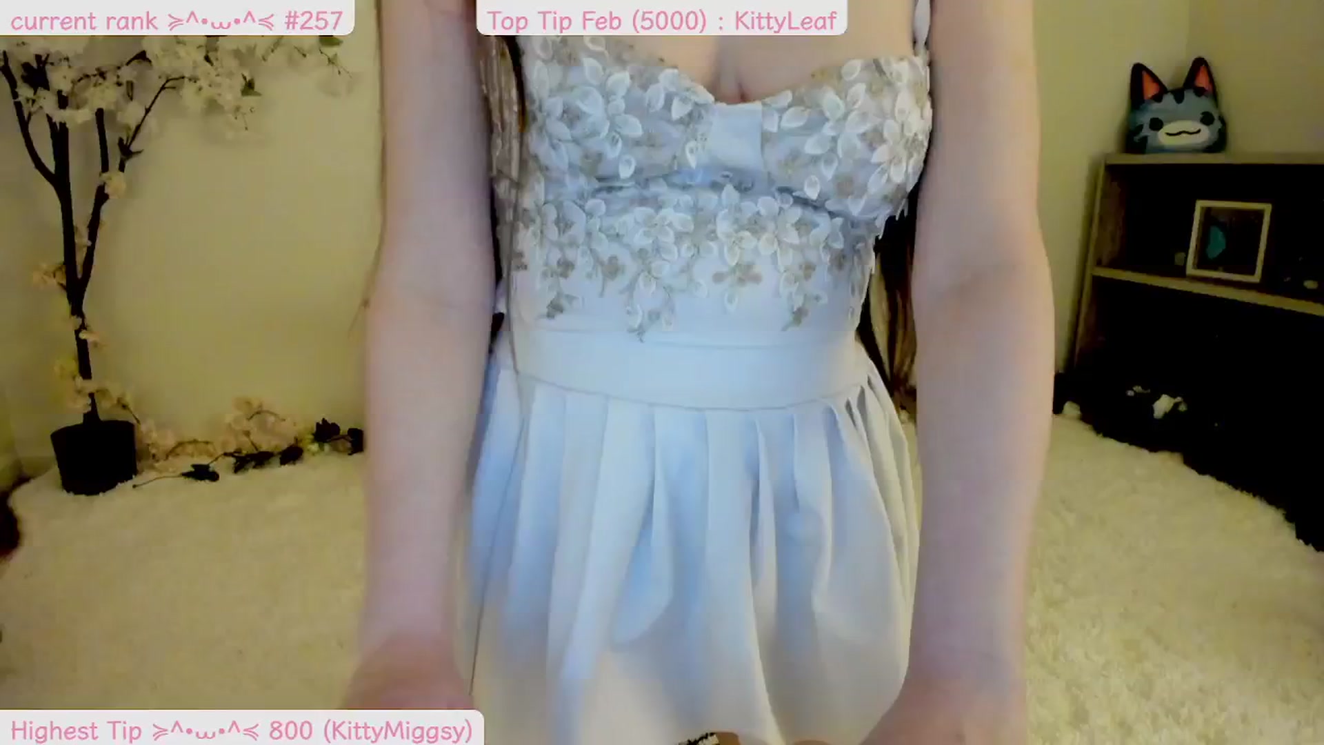 Gallery image thumbnail from Kitty's myfreecams stream on, 02/24/2025, 06:55 image 3 of 20