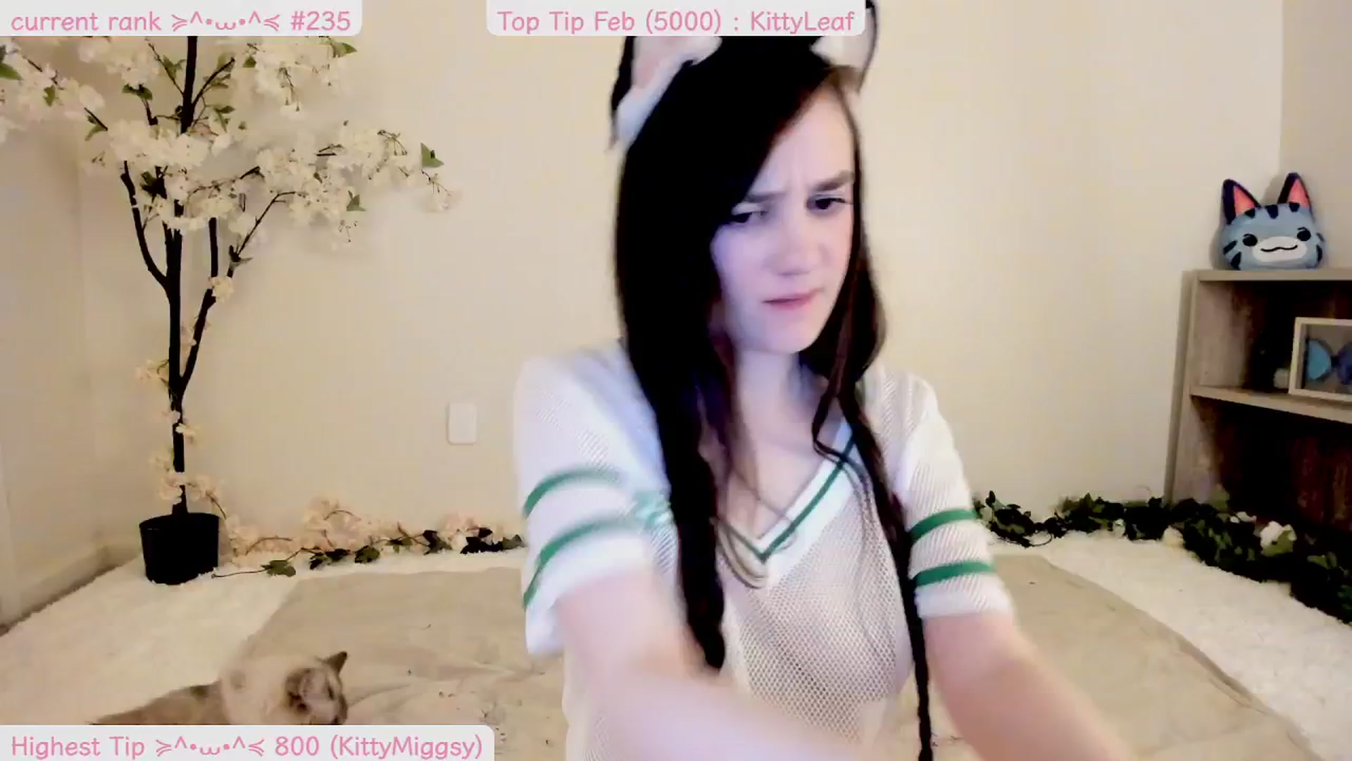 Gallery image thumbnail from Kitty's myfreecams stream on, 02/27/2025, 06:50 image 13 of 20