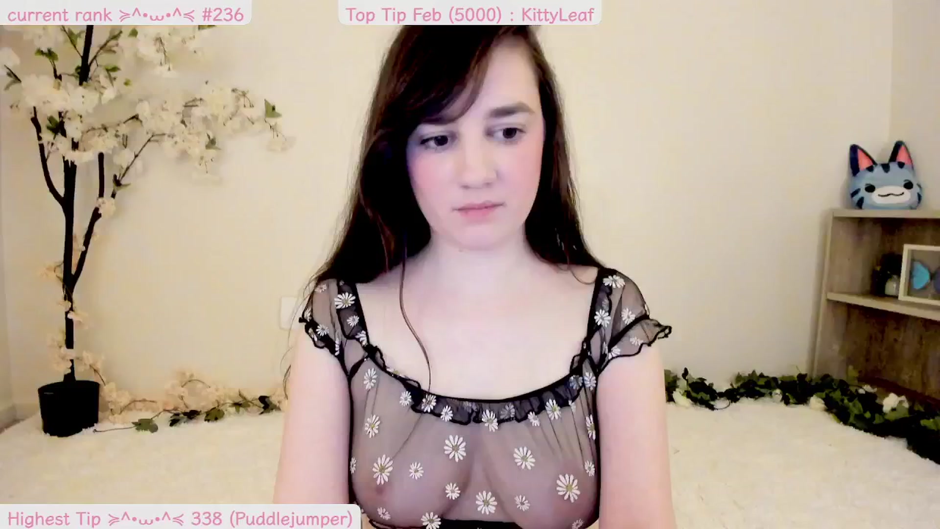 Gallery image thumbnail from Kitty's myfreecams stream on, 02/28/2025, 08:21 image 5 of 20