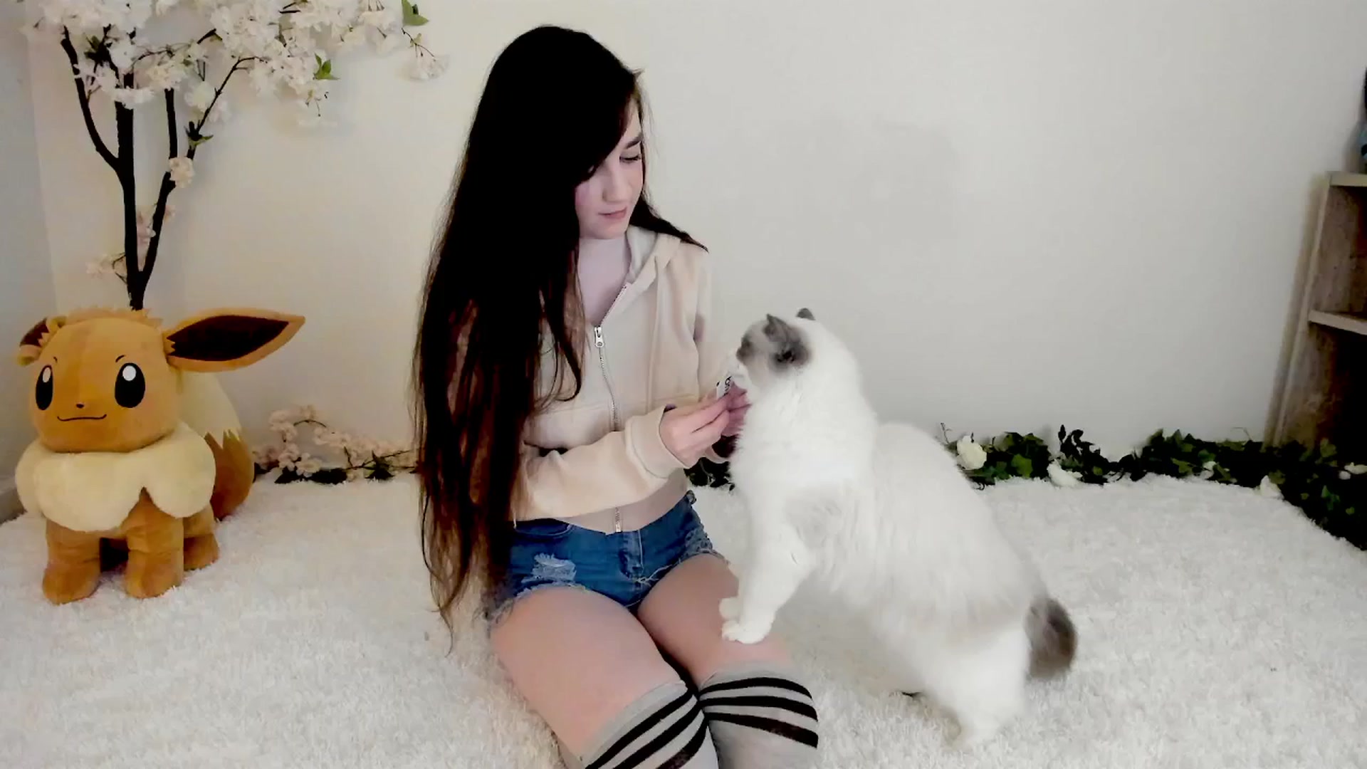 Gallery image thumbnail from Kitty's myfreecams stream on, 03/11/2025, 06:35 image 3 of 20