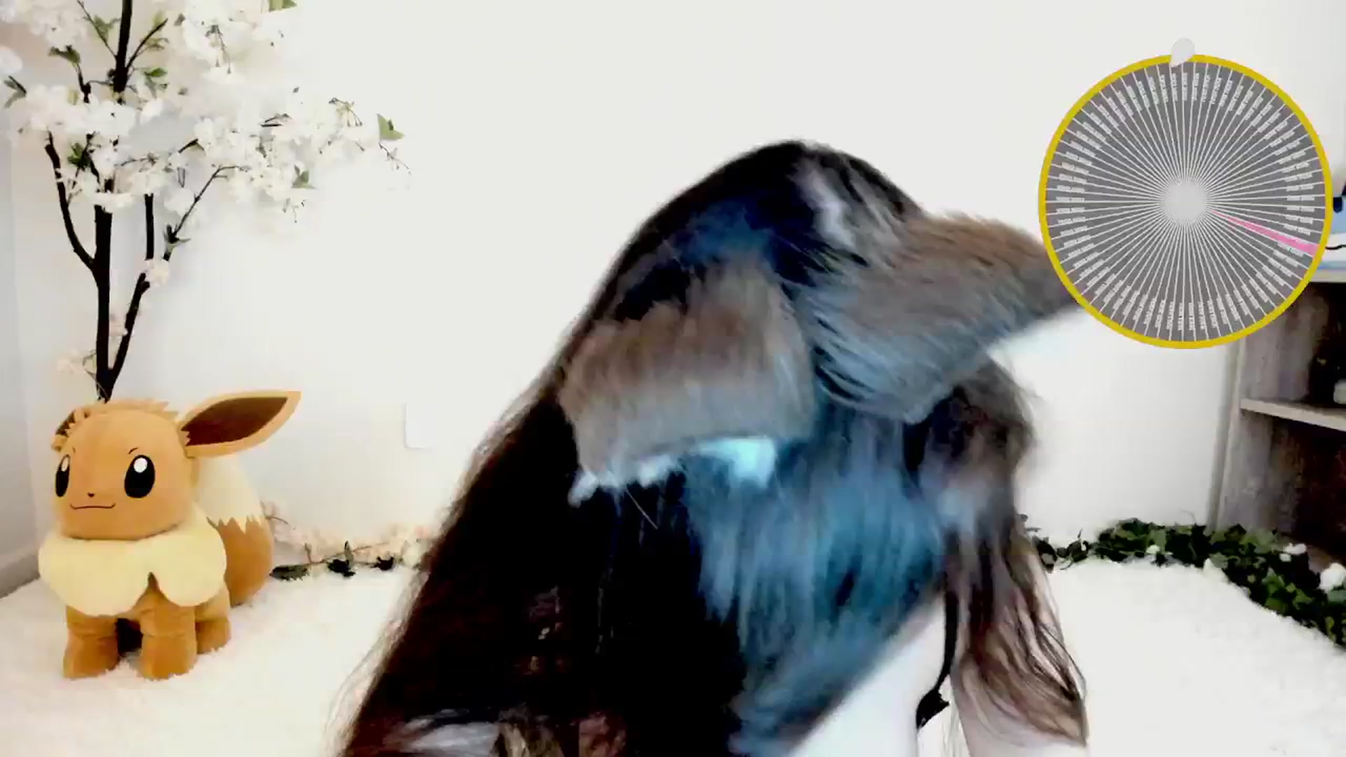 Gallery image thumbnail from Kitty's myfreecams stream on, 03/15/2025, 07:24 image 13 of 20
