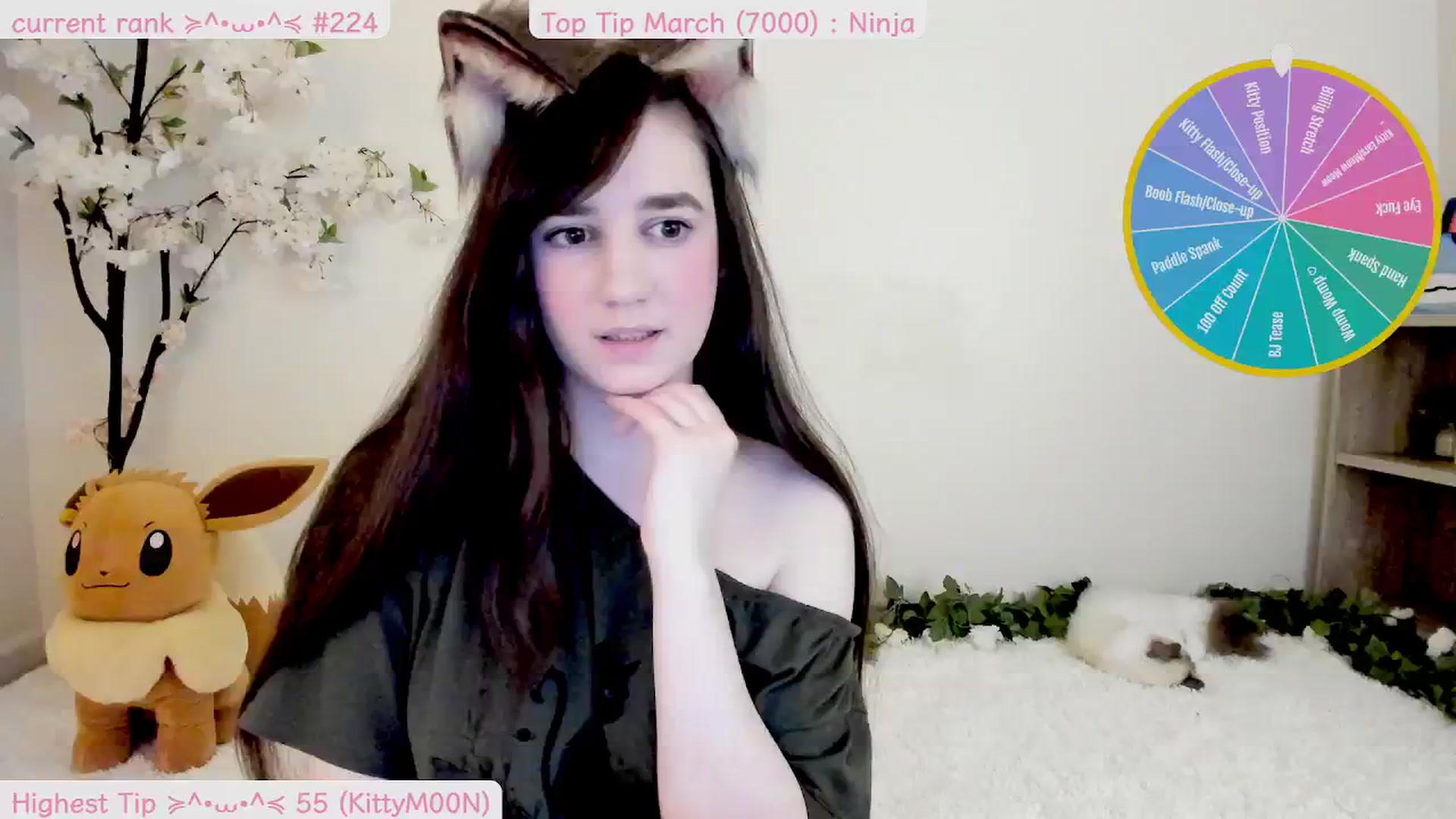 Gallery image thumbnail from Kitty's myfreecams stream on, 03/19/2025, 05:13 image 5 of 20