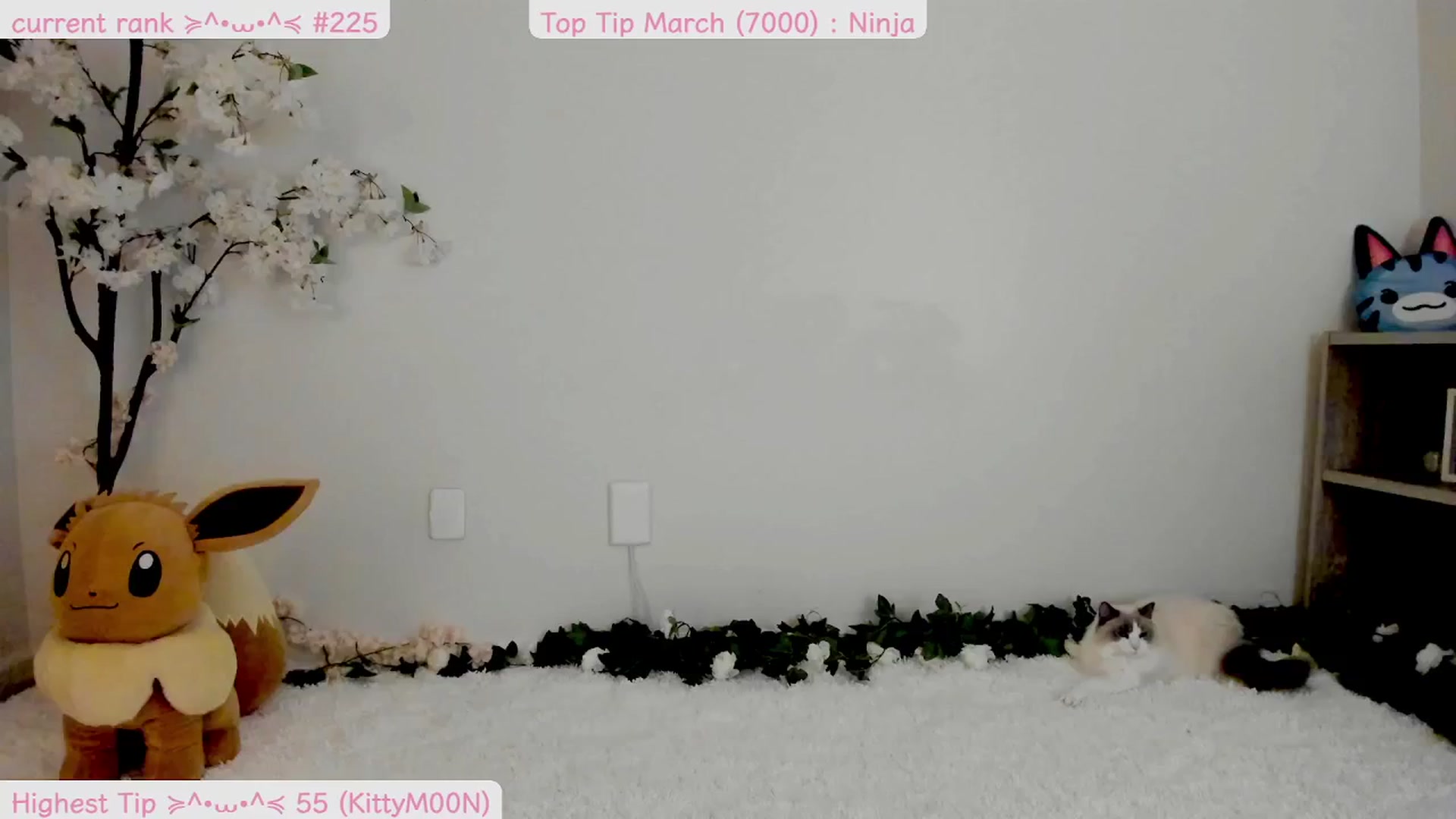 Gallery image thumbnail from Kitty's myfreecams stream on, 03/19/2025, 05:13 image 4 of 20