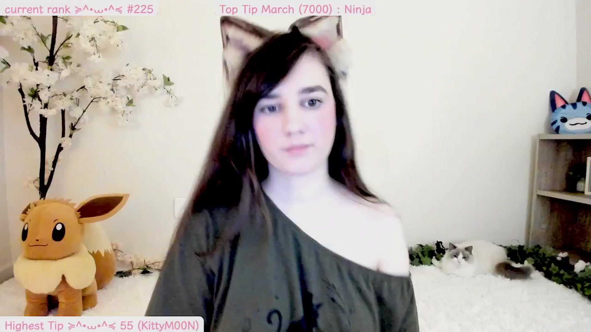 Gallery image thumbnail from Kitty's myfreecams stream on, 03/19/2025, 05:13 image 1 of 20
