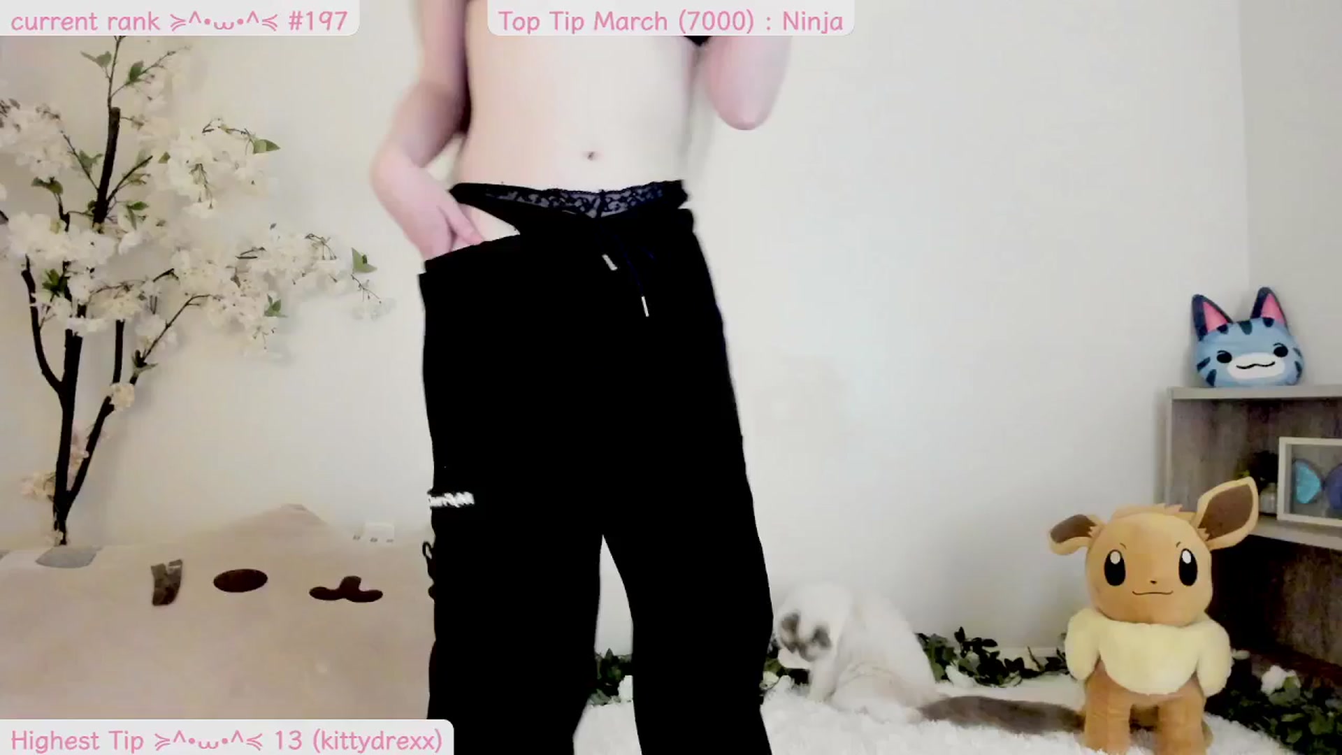 Gallery image thumbnail from Kitty's myfreecams stream on, 03/21/2025, 05:28 image 9 of 20