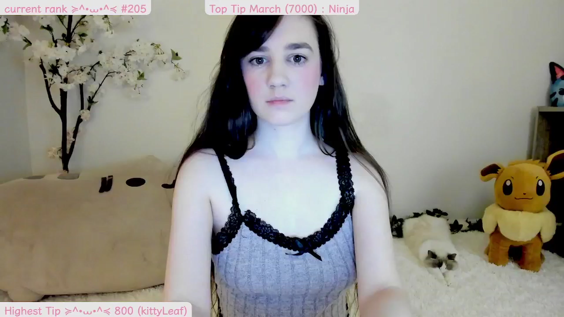 Gallery image thumbnail from Kitty's myfreecams stream on, 03/23/2025, 06:51 image 5 of 20