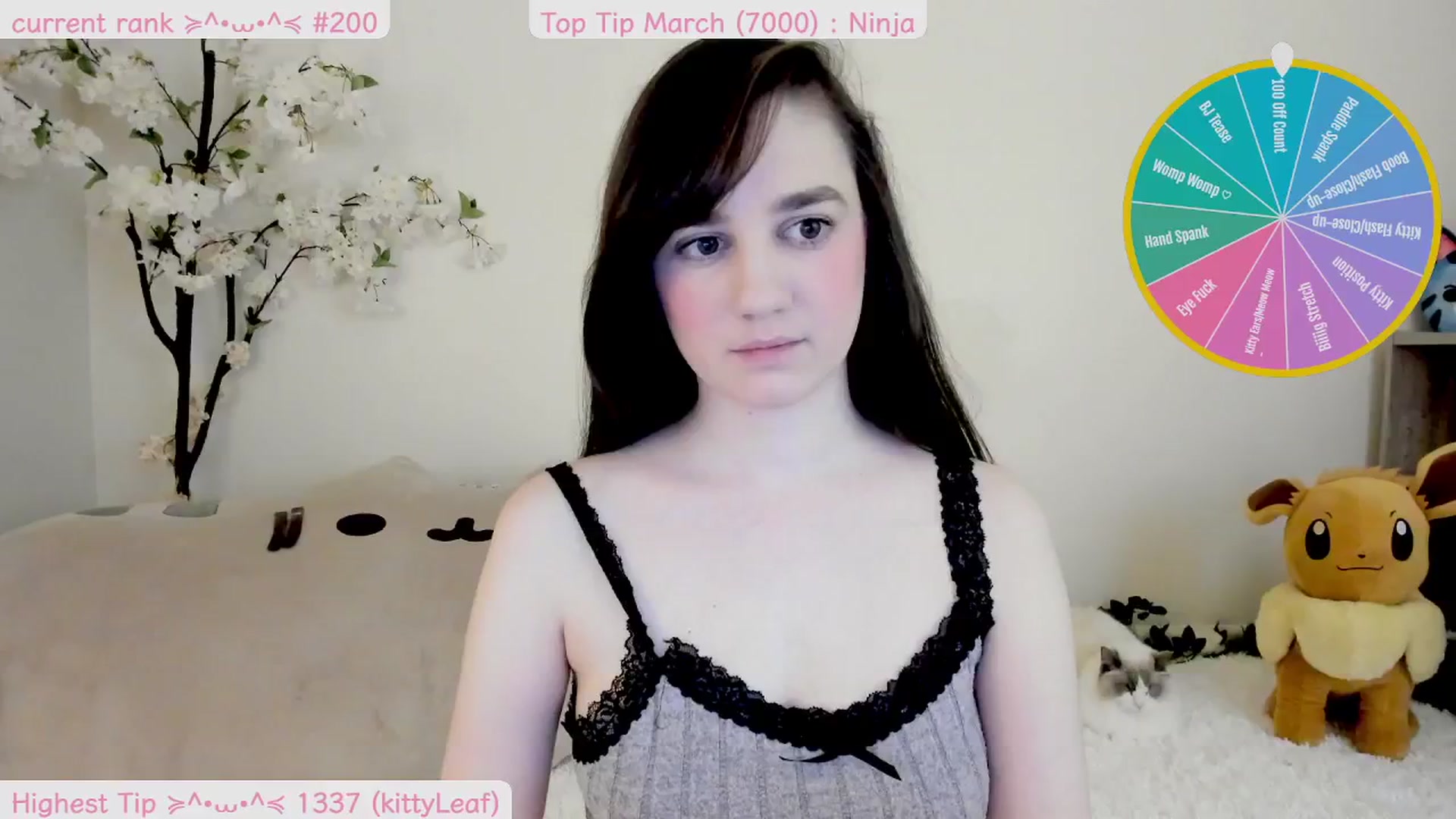 Gallery image thumbnail from Kitty's myfreecams stream on, 03/23/2025, 06:51 image 12 of 20