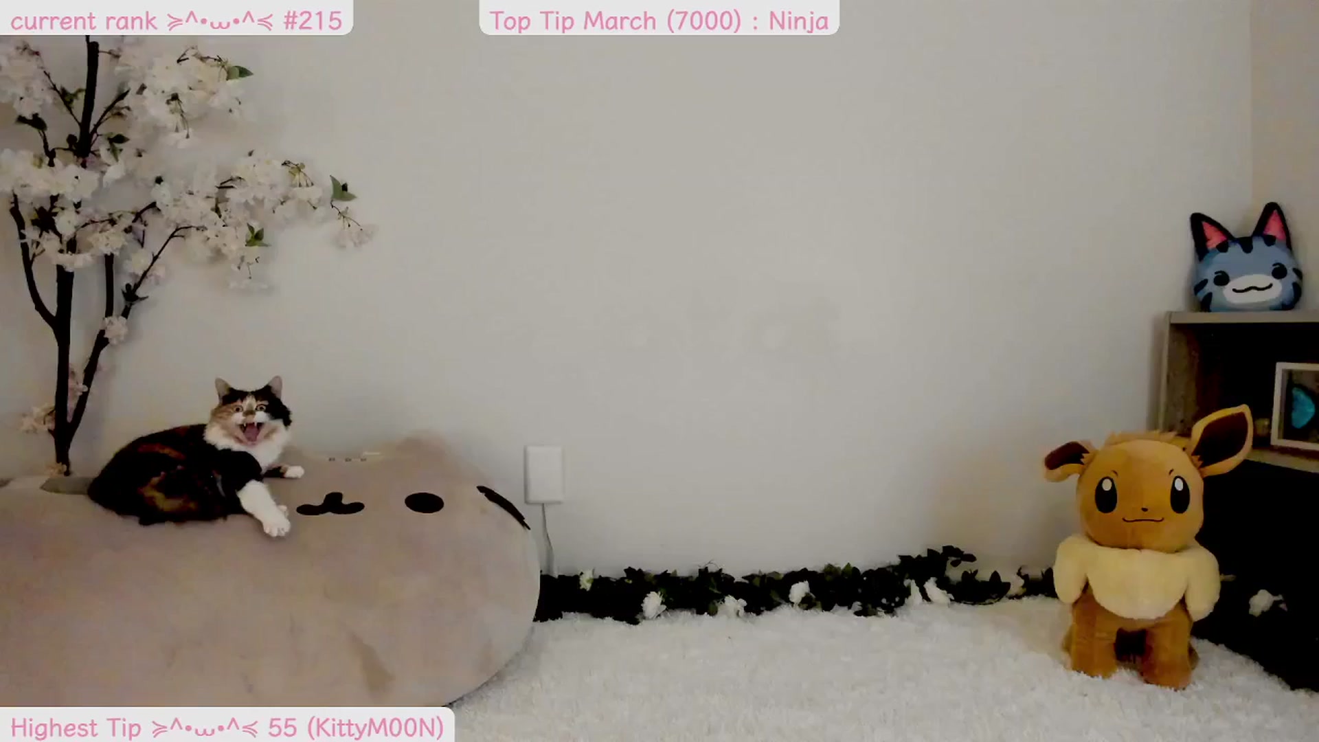 Gallery image thumbnail from Kitty's myfreecams stream on, 03/24/2025, 06:47 image 2 of 20
