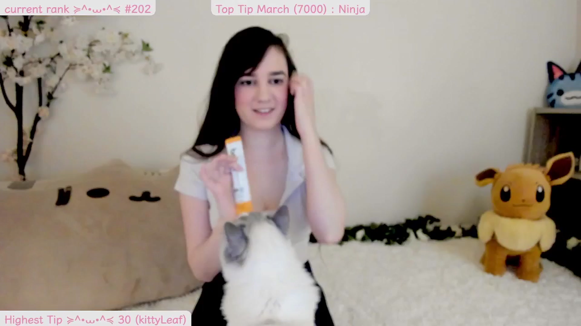 Gallery image thumbnail from Kitty's myfreecams stream on, 03/25/2025, 05:19 image 4 of 20