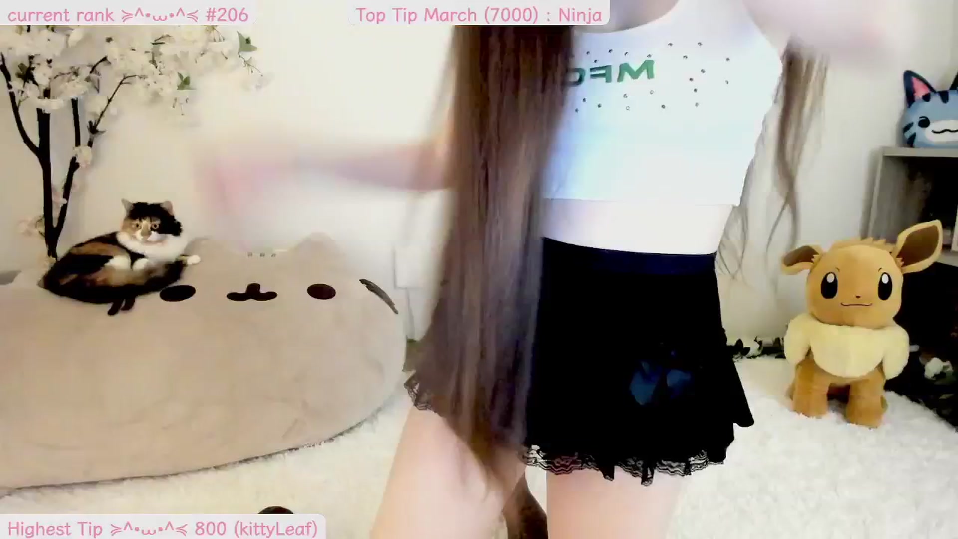Gallery image thumbnail from Kitty's myfreecams stream on, 03/26/2025, 06:47 image 8 of 20