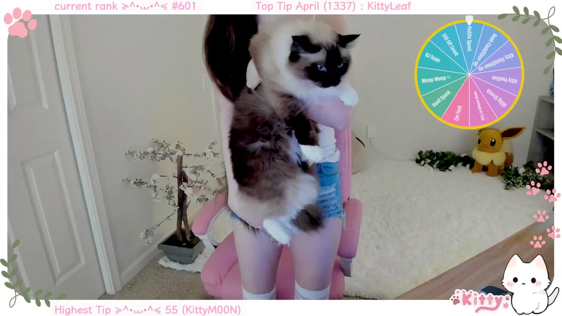 Gallery image thumbnail from Kitty's myfreecams stream on, 04/09/2025, 05:26 image 8 of 20