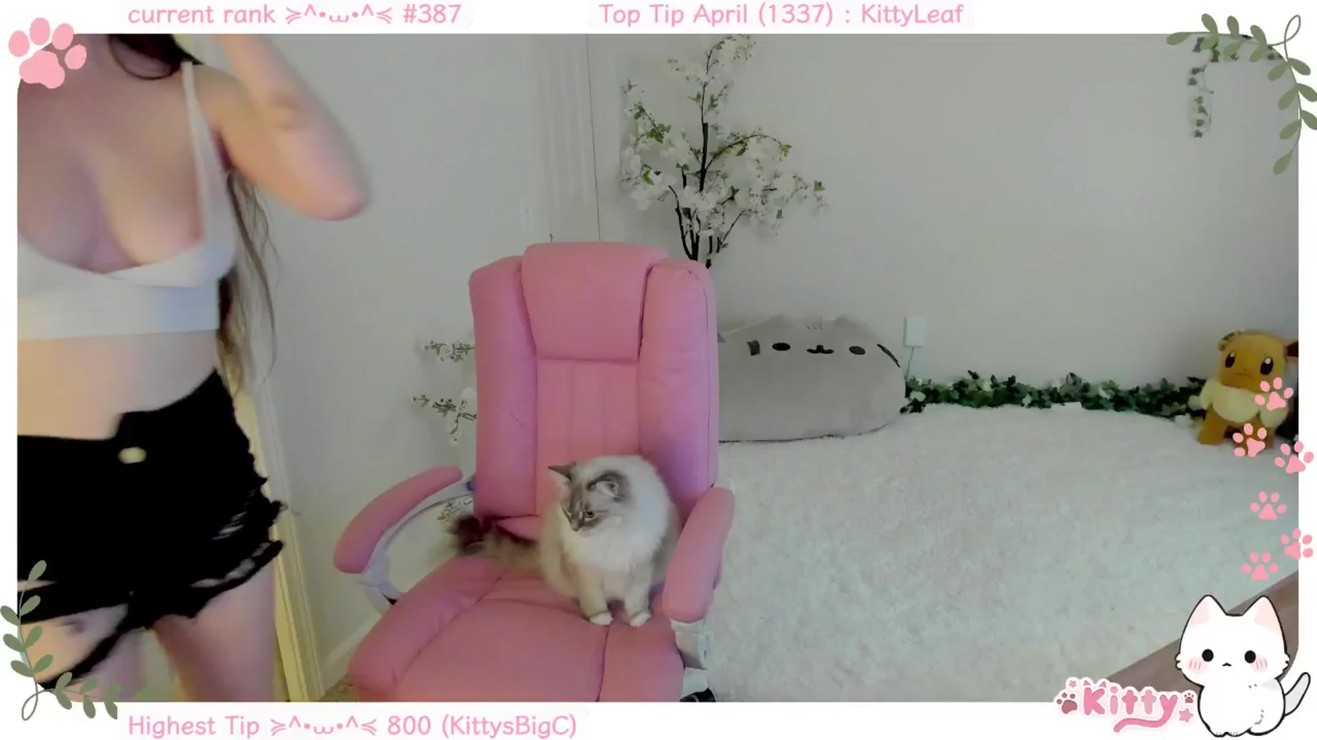 Gallery image thumbnail from Kitty's myfreecams stream on, 04/12/2025, 07:35 image 9 of 20