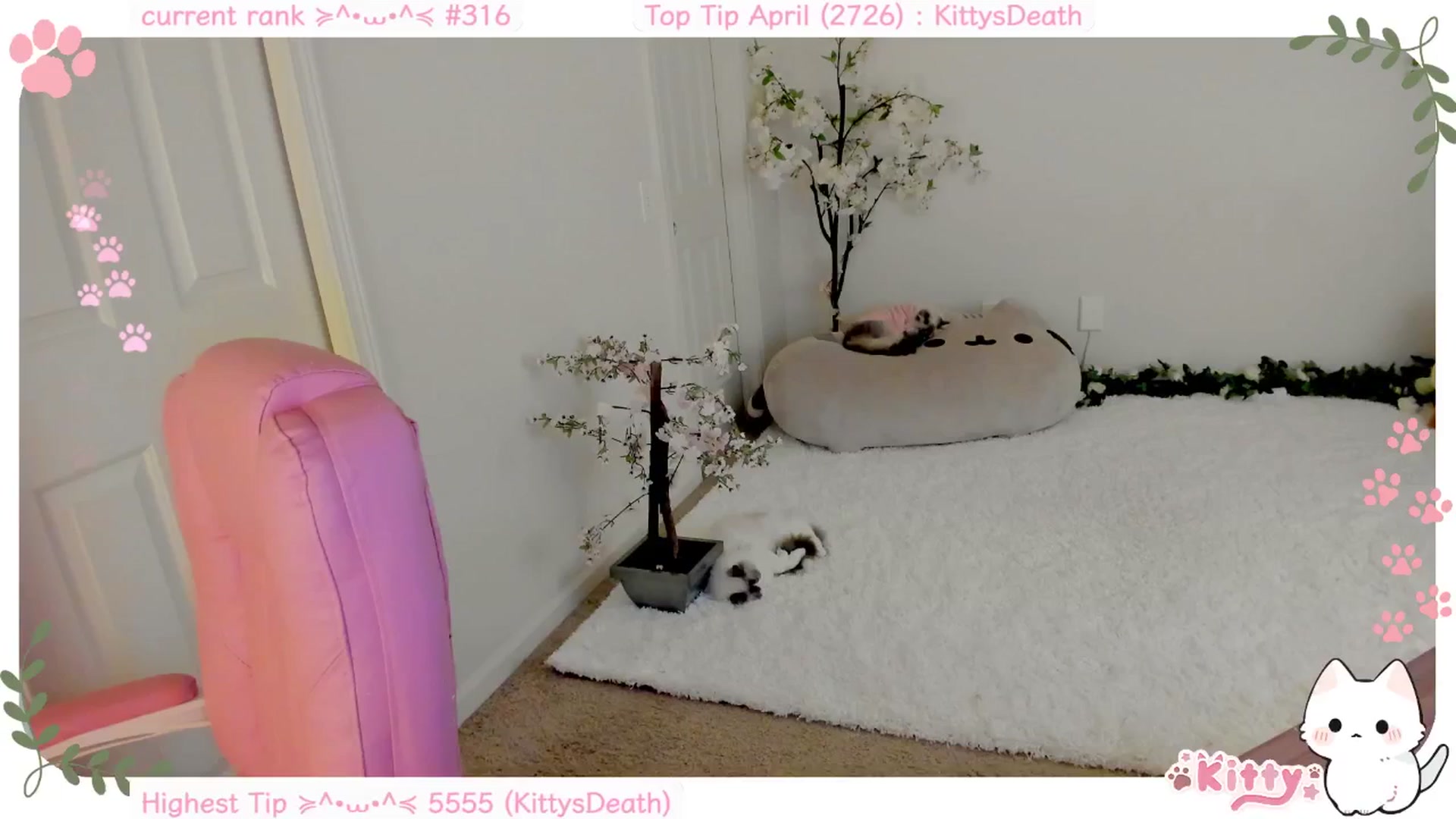 Gallery image thumbnail from Kitty's myfreecams stream on, 04/16/2025, 05:27 image 13 of 20