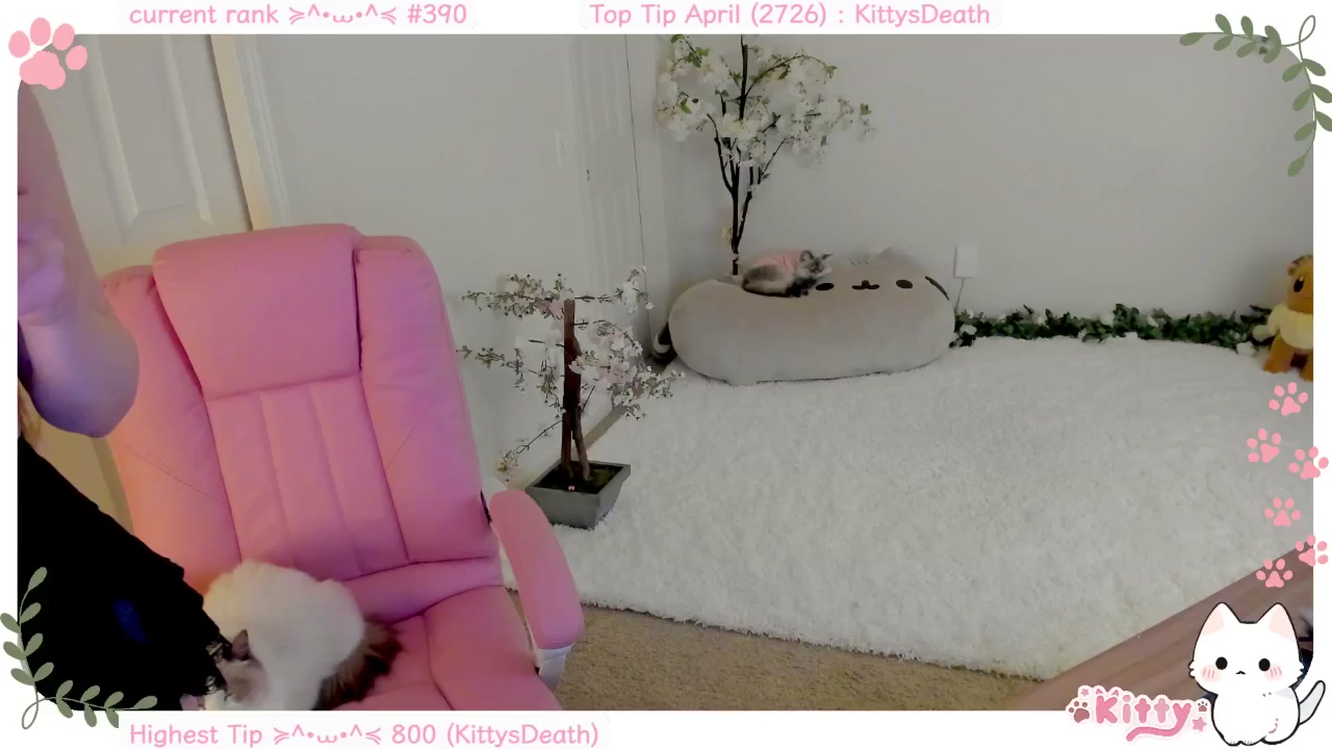 Gallery image thumbnail from Kitty's myfreecams stream on, 04/16/2025, 05:27 image 1 of 20