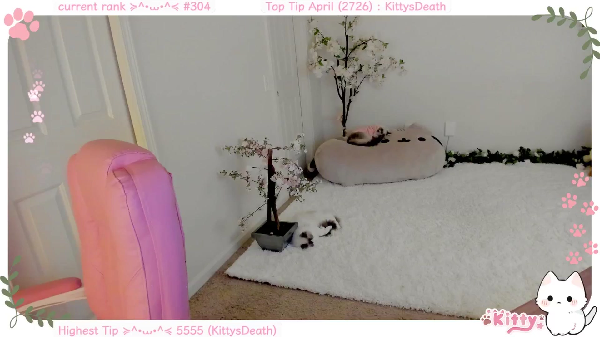 Gallery image thumbnail from Kitty's myfreecams stream on, 04/16/2025, 05:27 image 14 of 20
