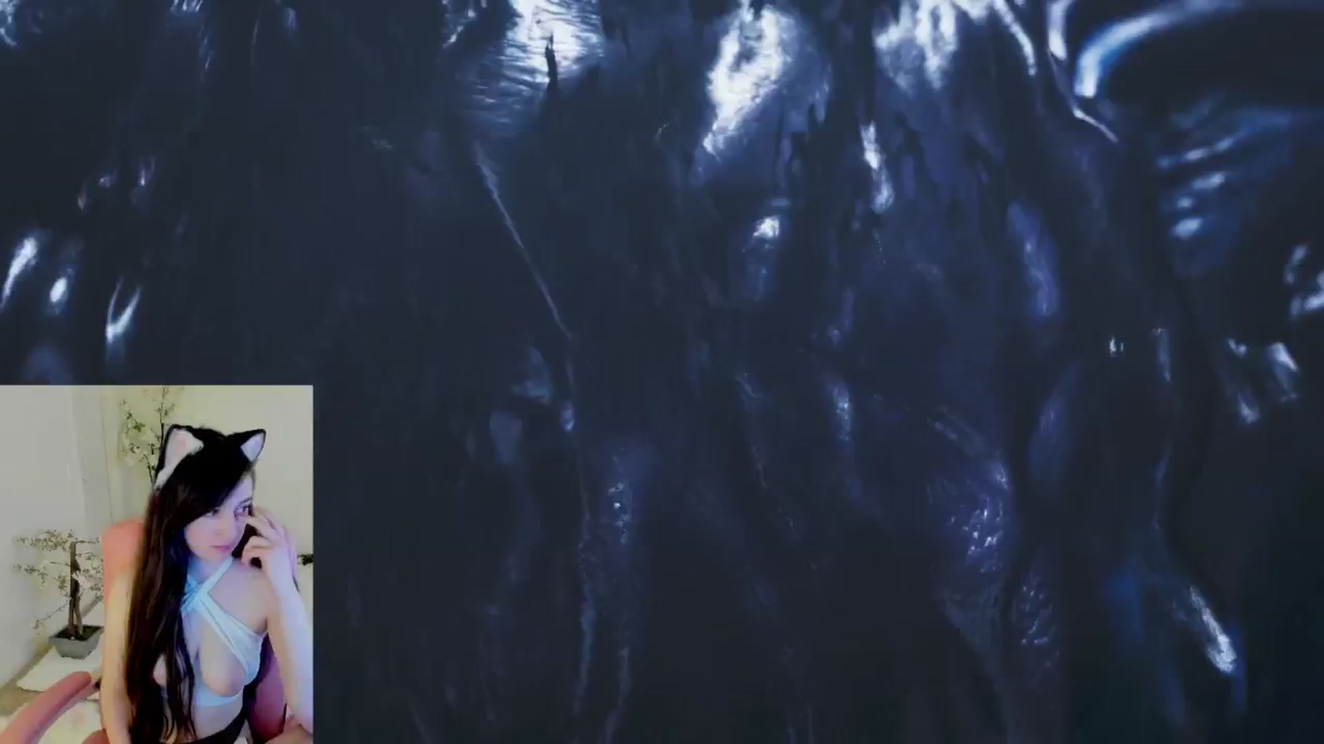 Gallery image thumbnail from Kitty's myfreecams stream on, 04/25/2025, 08:00 image 16 of 20