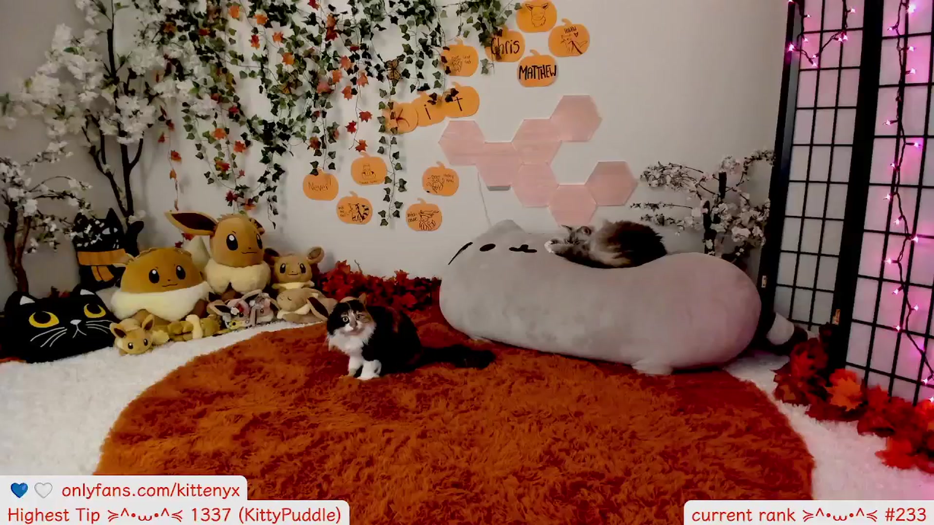 Gallery image thumbnail from Kitty's myfreecams stream on, 10/10/2025, 07:01 image 4 of 20