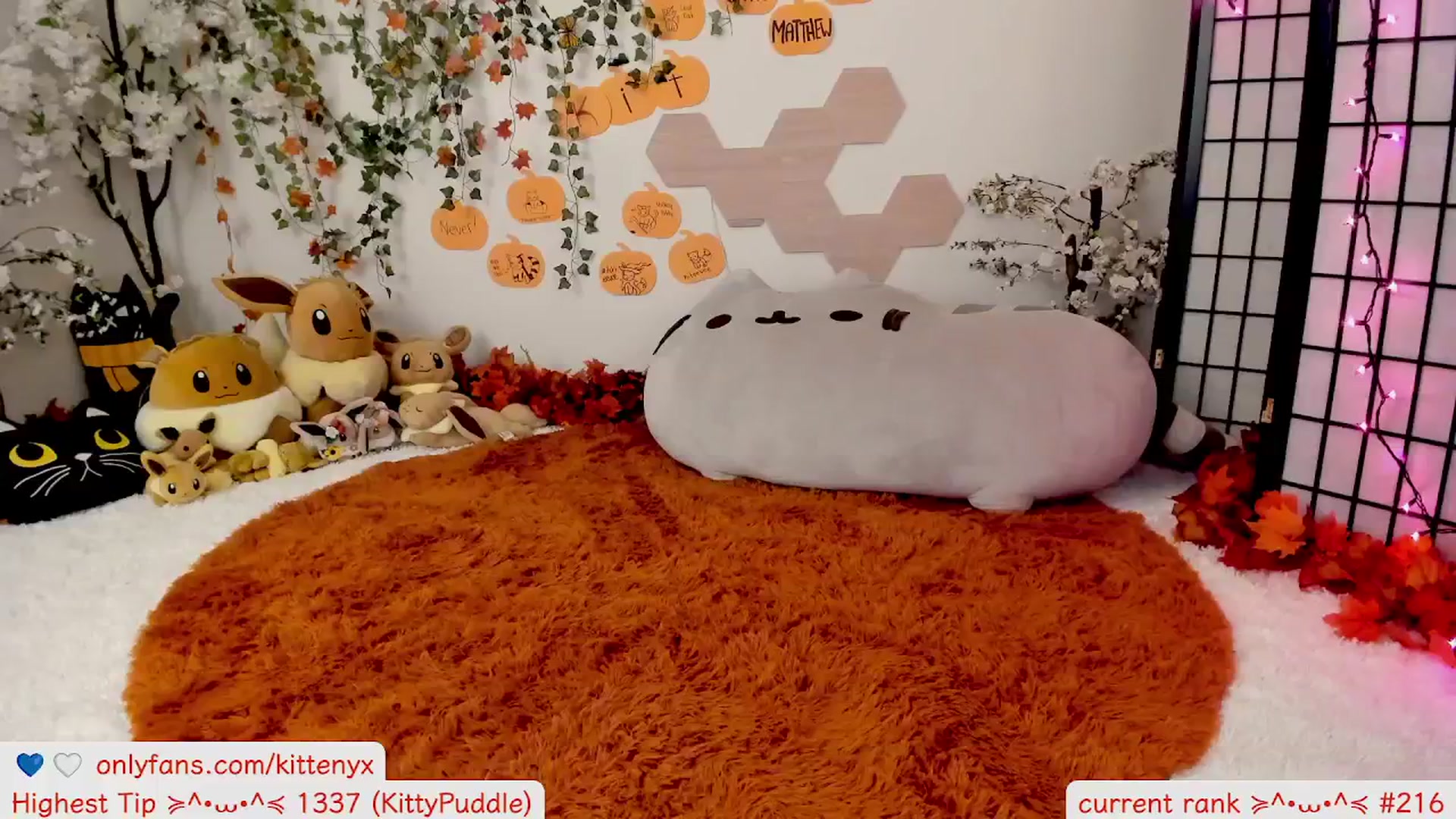 Gallery image thumbnail from Kitty's myfreecams stream on, 10/11/2025, 07:23 image 8 of 20