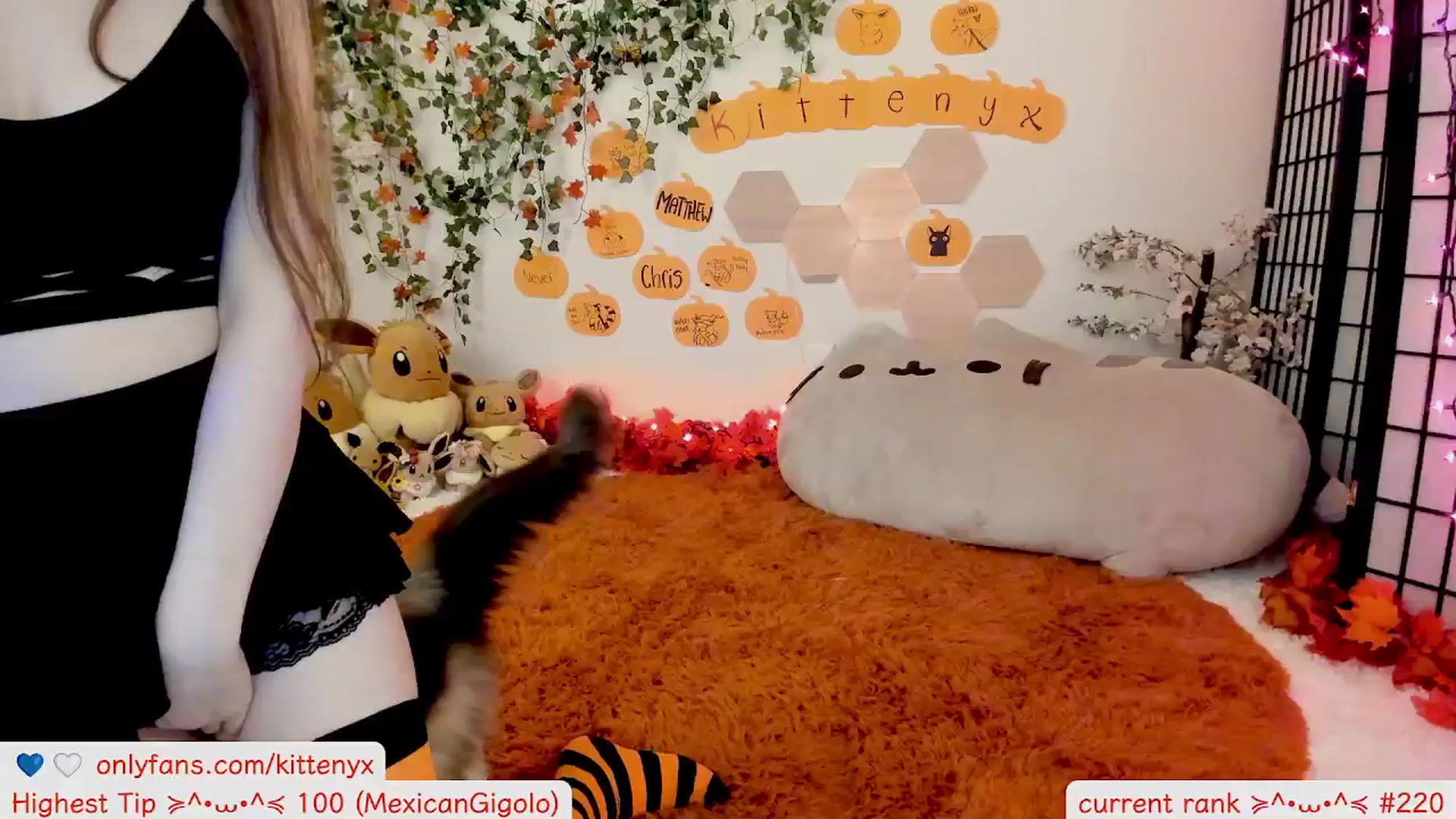 Gallery image thumbnail from Kitty's myfreecams stream on, 10/12/2025, 08:27 image 2 of 20