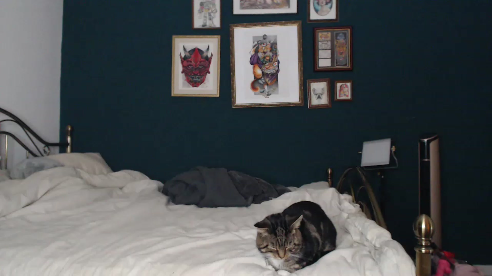 Gallery image thumbnail from KittyCash3w's myfreecams stream on, 11/18/2022, 21:16 image 9 of 20