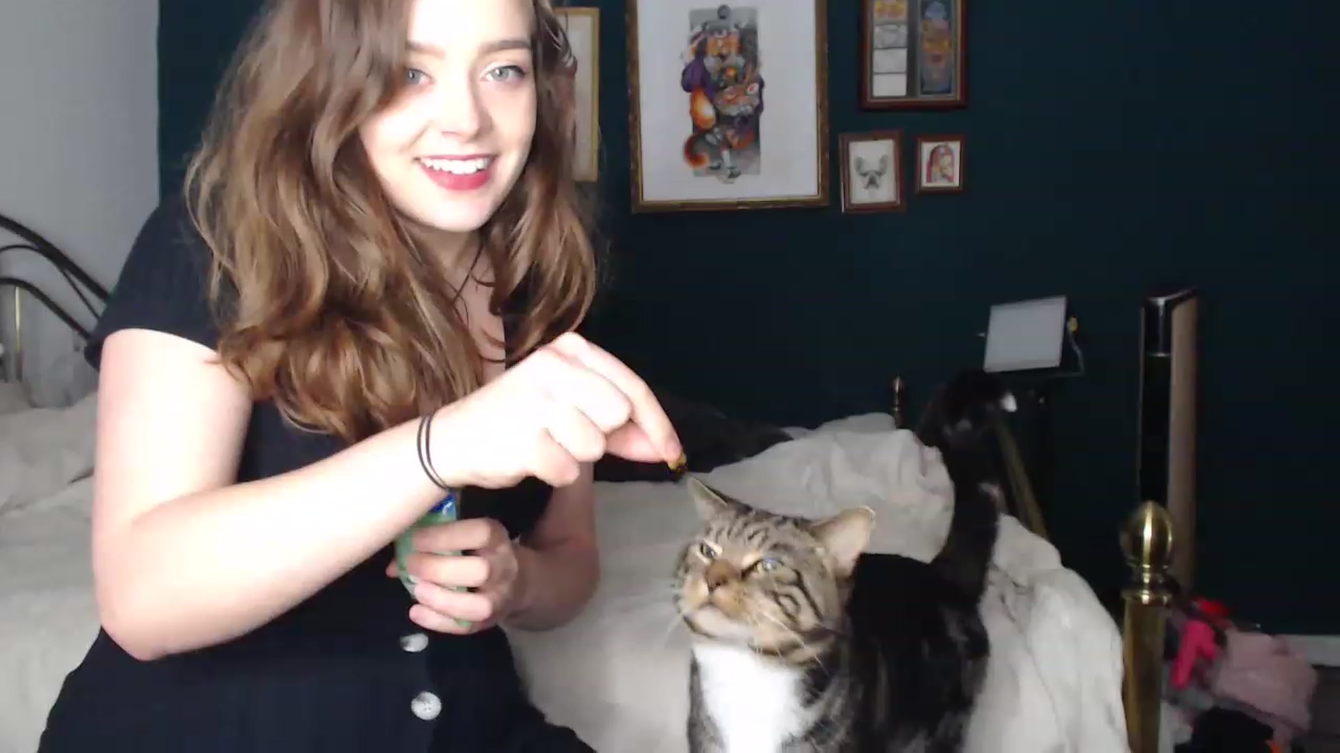 Gallery image thumbnail from KittyCash3w's myfreecams stream on, 11/18/2022, 21:16 image 10 of 20