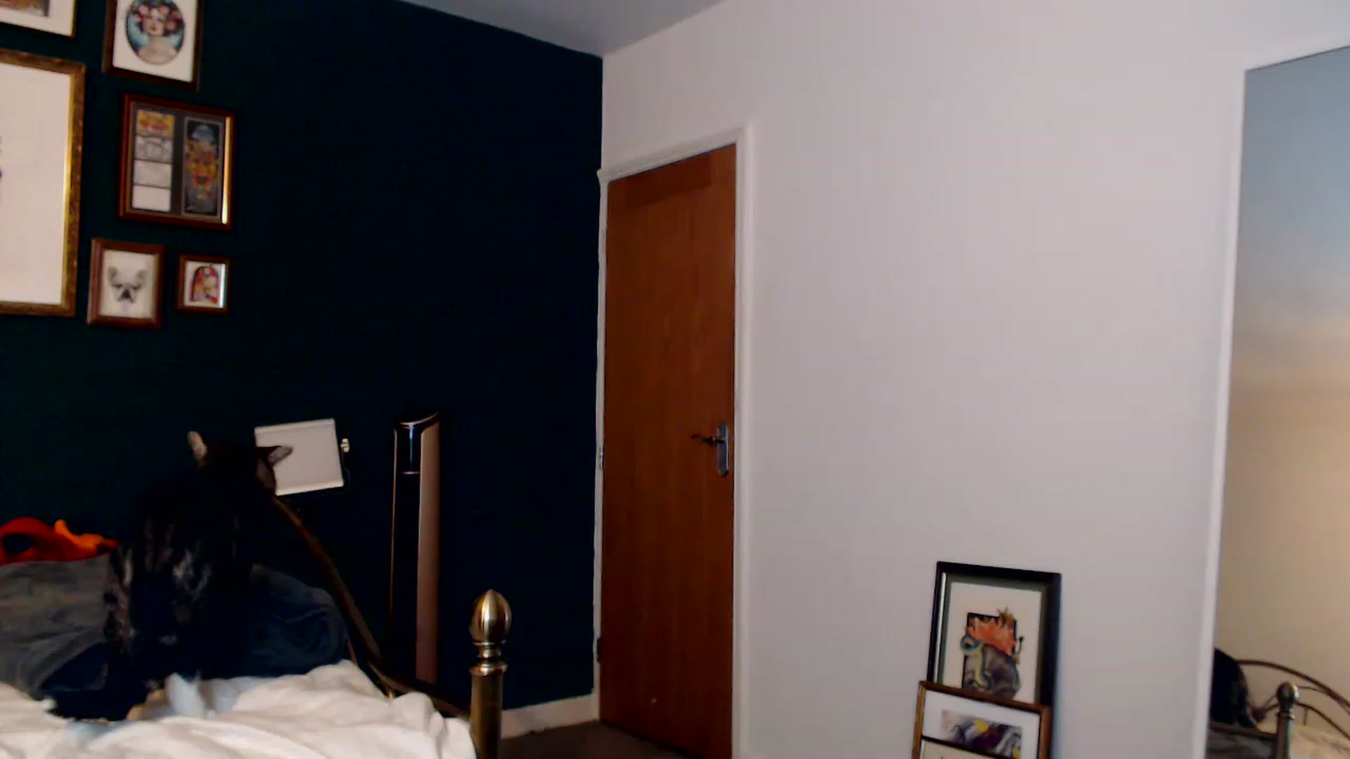 Gallery image thumbnail from KittyCash3w's myfreecams stream on, 11/28/2022, 17:49 image 14 of 20