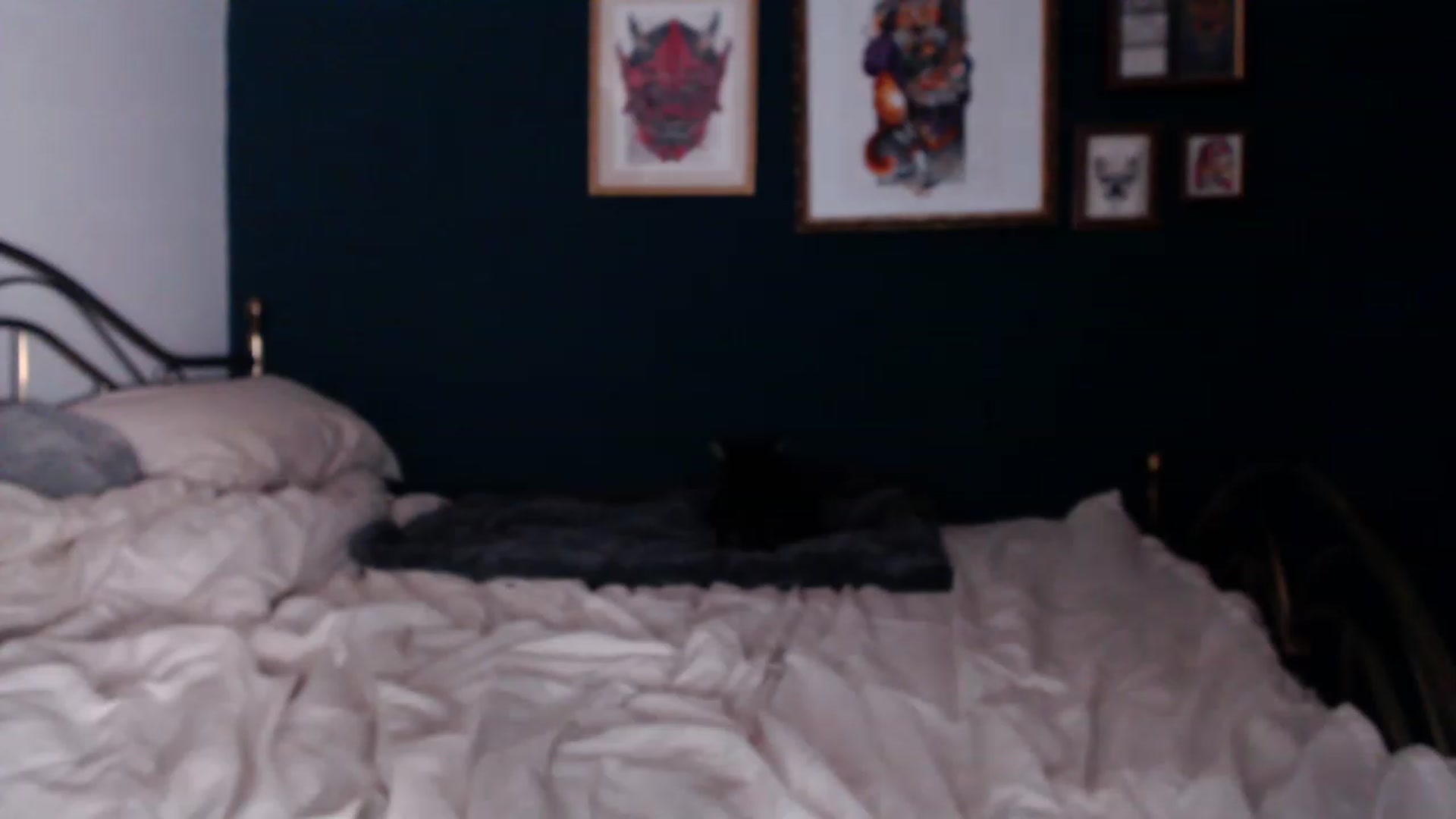 Gallery image thumbnail from KittyCash3w's myfreecams stream on, 12/02/2022, 21:30 image 5 of 20