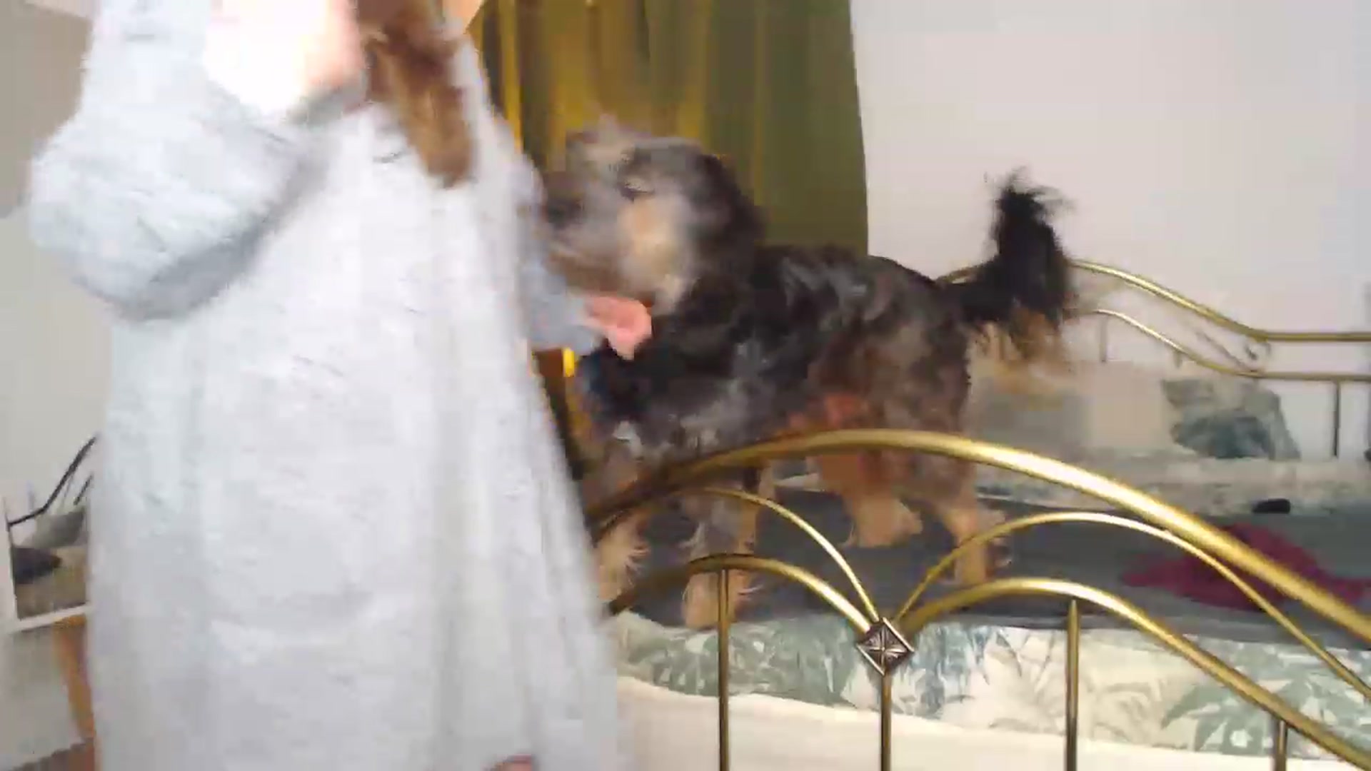 Gallery image thumbnail from KittyCash3w's myfreecams stream on, 12/26/2022, 21:11 image 19 of 20