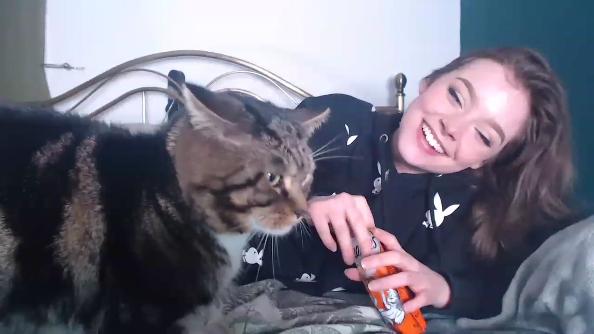 Gallery image thumbnail from KittyCash3w's myfreecams stream on, 01/29/2023, 16:44 image 10 of 20
