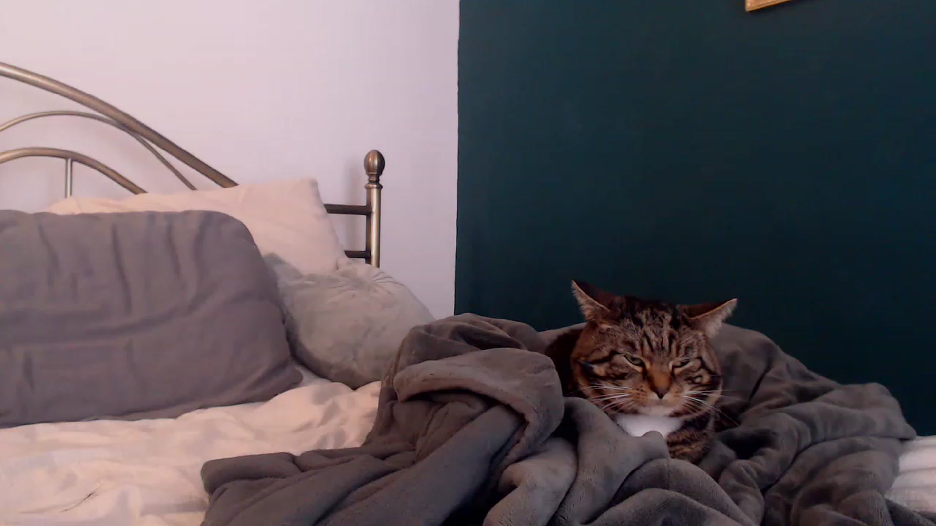 Gallery image thumbnail from KittyCash3w's myfreecams stream on, 03/08/2023, 19:48 image 2 of 20