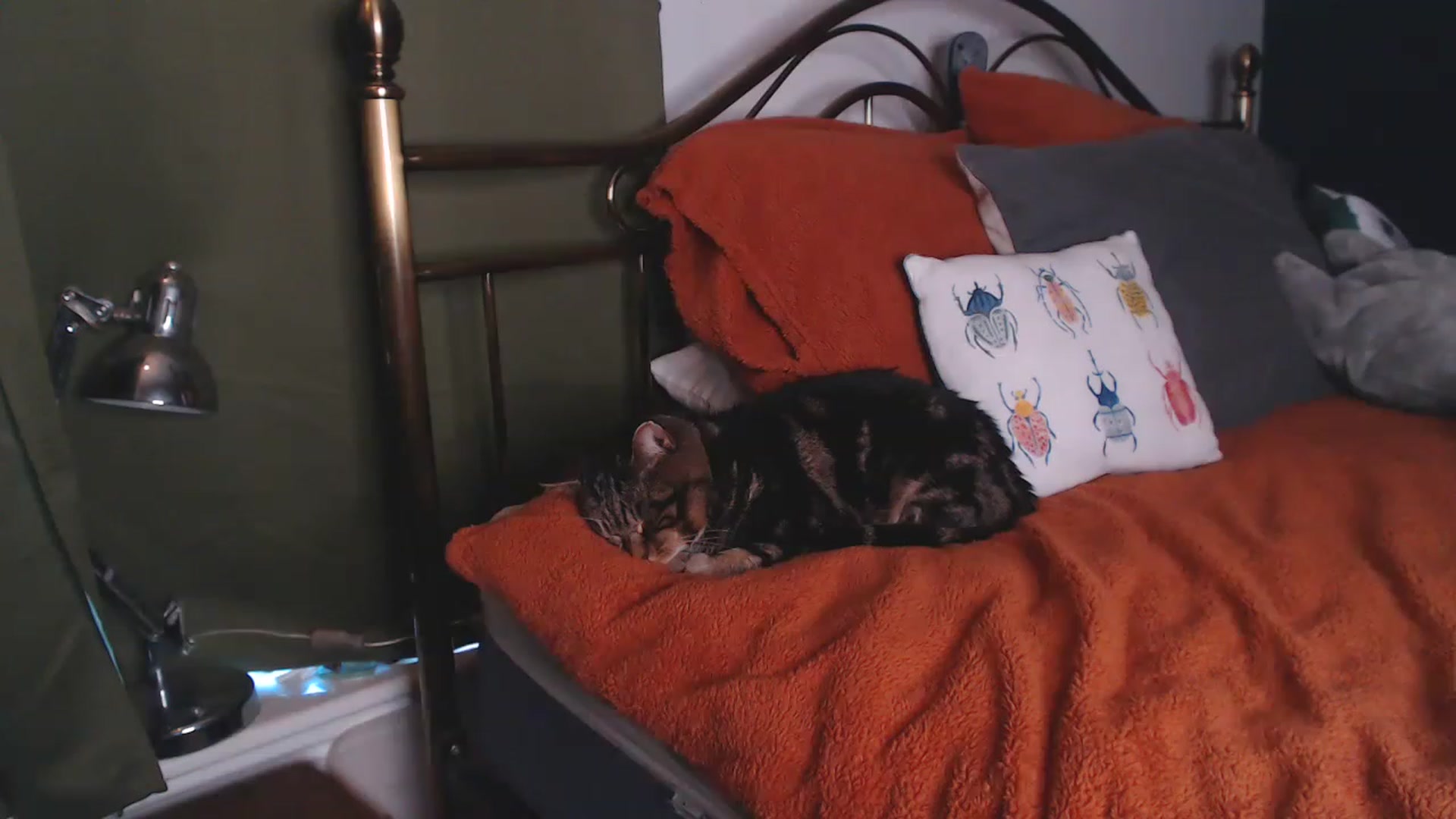 Gallery image thumbnail from KittyCash3w's myfreecams stream on, 04/06/2023, 16:08 image 10 of 20